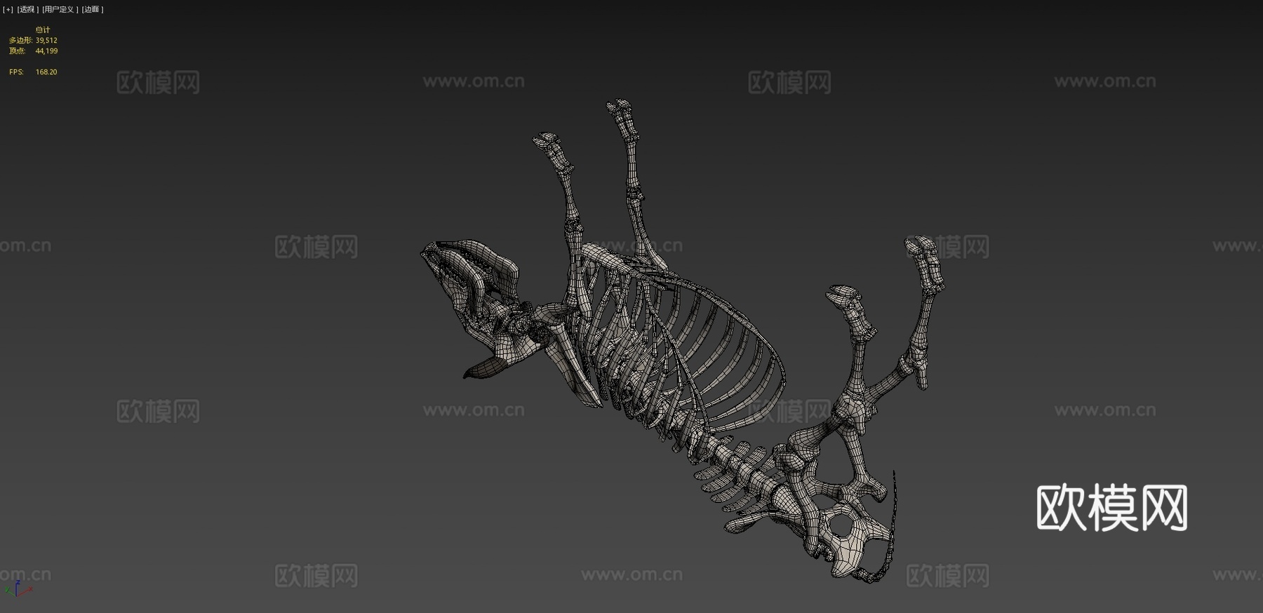 牛骨架3d模型