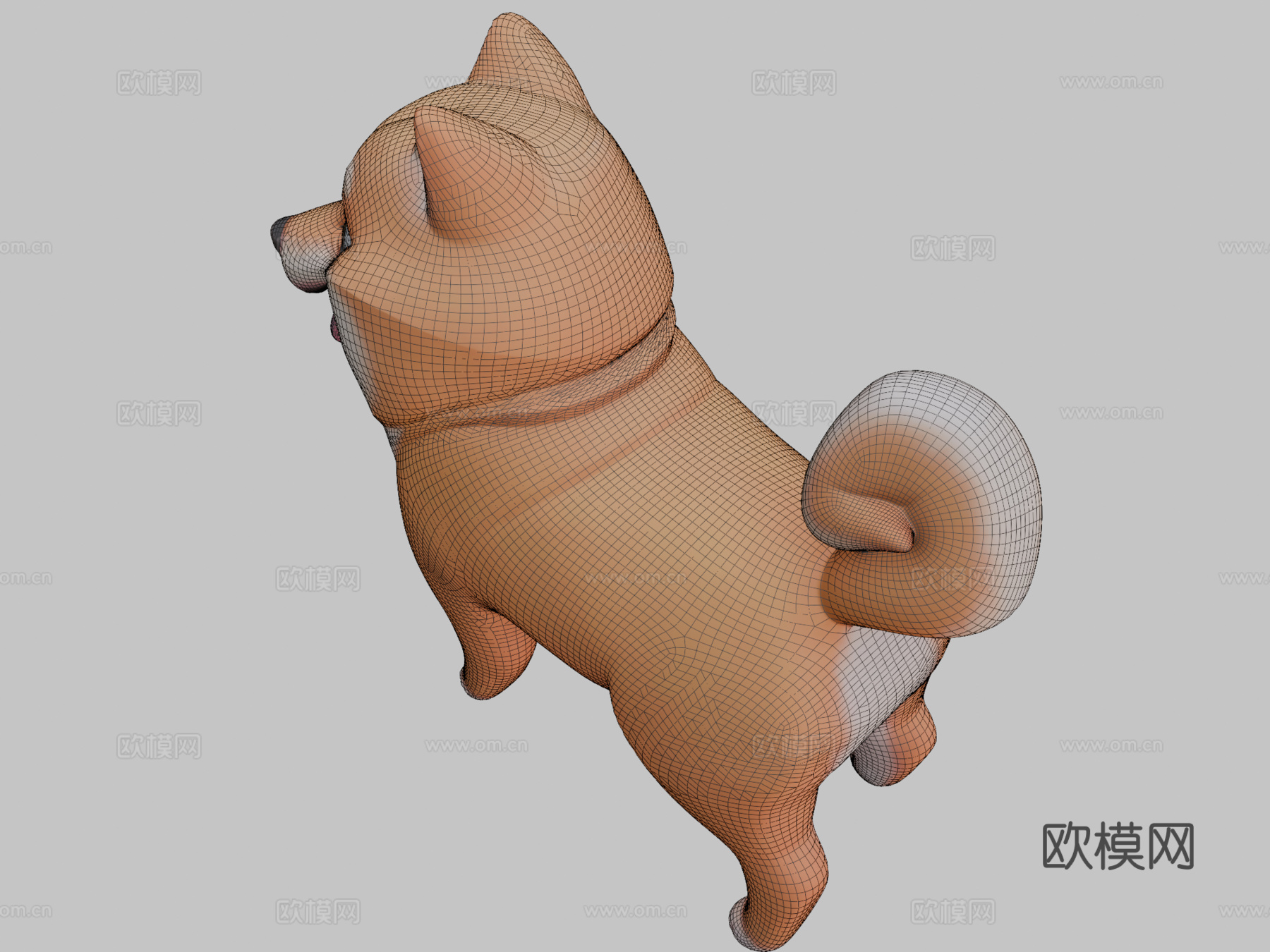 超棒柴犬男孩3d模型