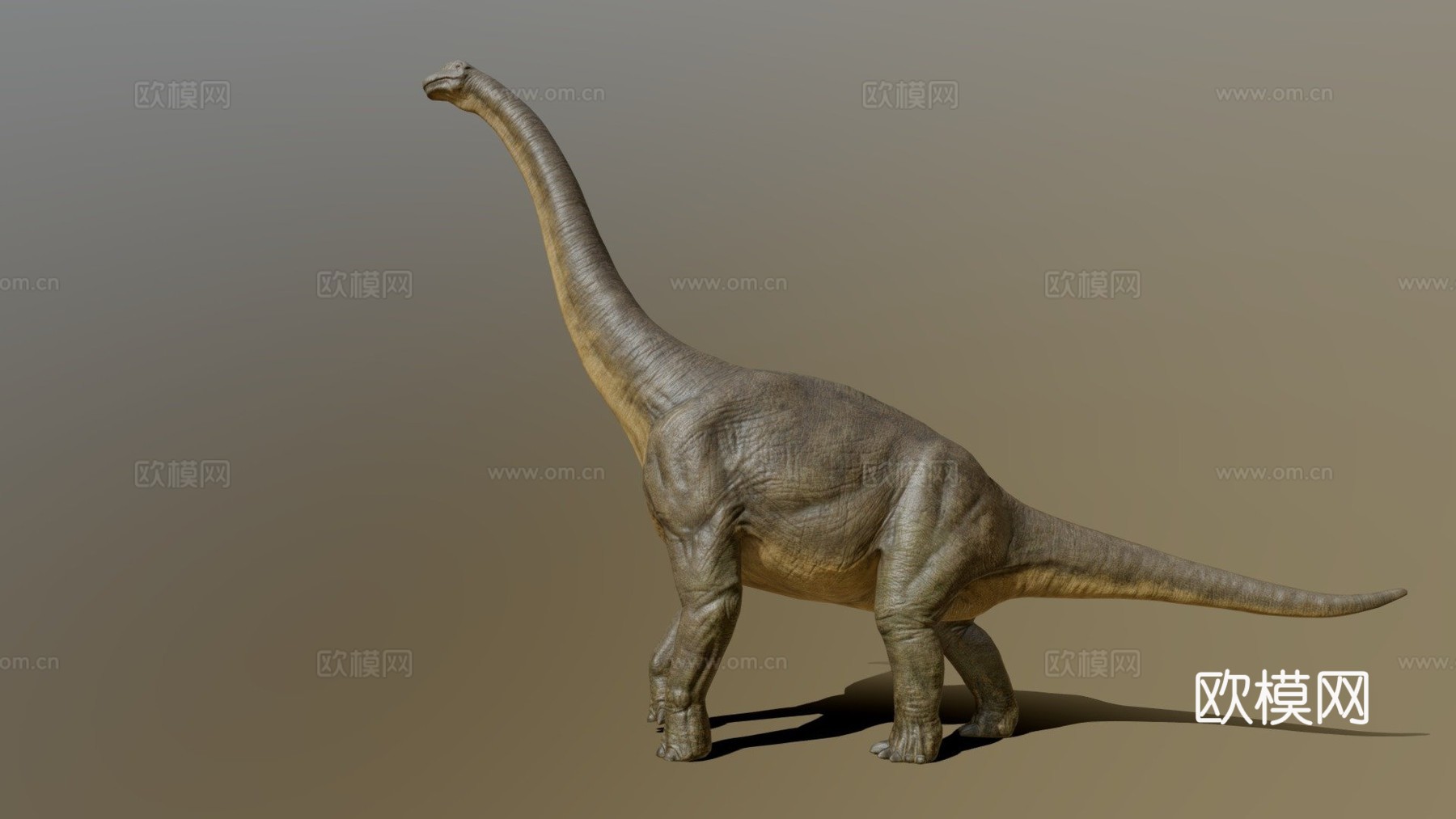 腕龙3d模型