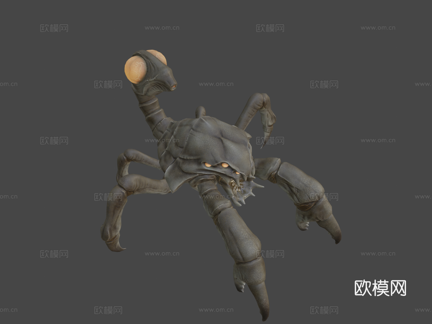 卡西顿动画3d模型