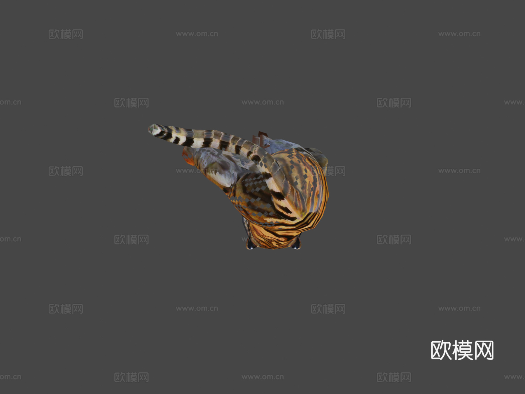 老虎攻击进食v01版(Unity引擎 谢哈布之家)3d模型