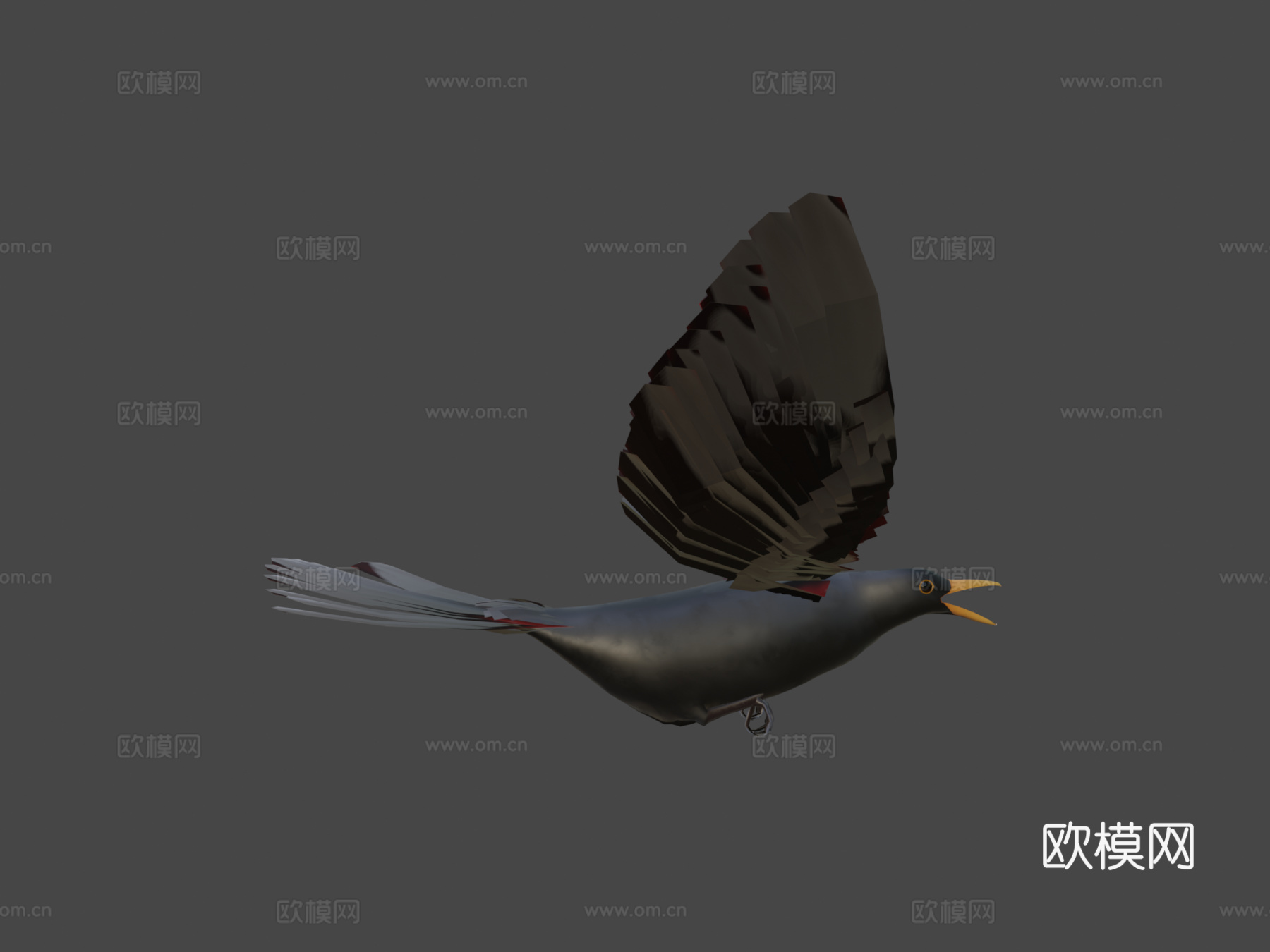 黑鸟3d模型