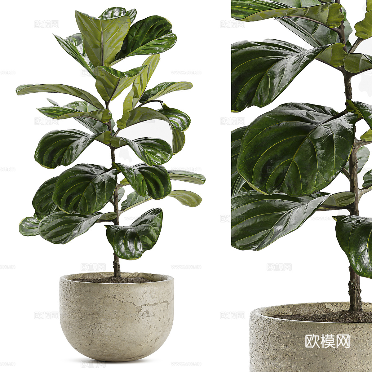 现代侘寂绿植盆栽3d模型