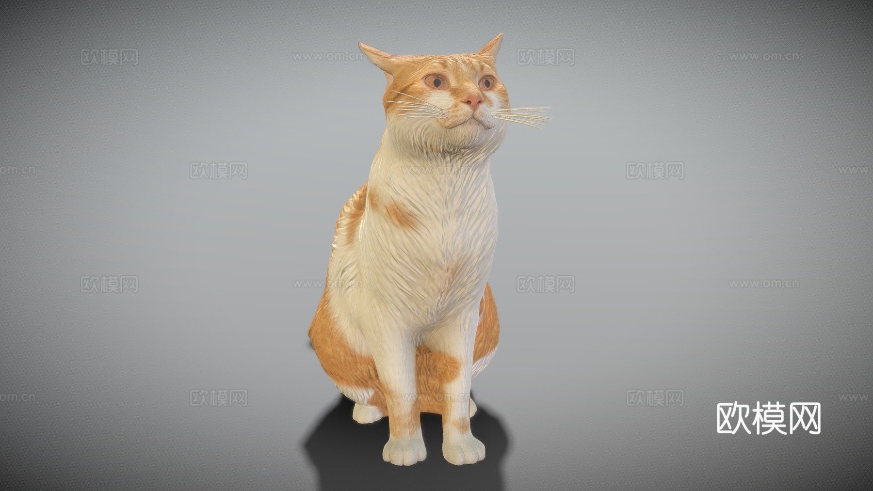 红猫07号3d模型
