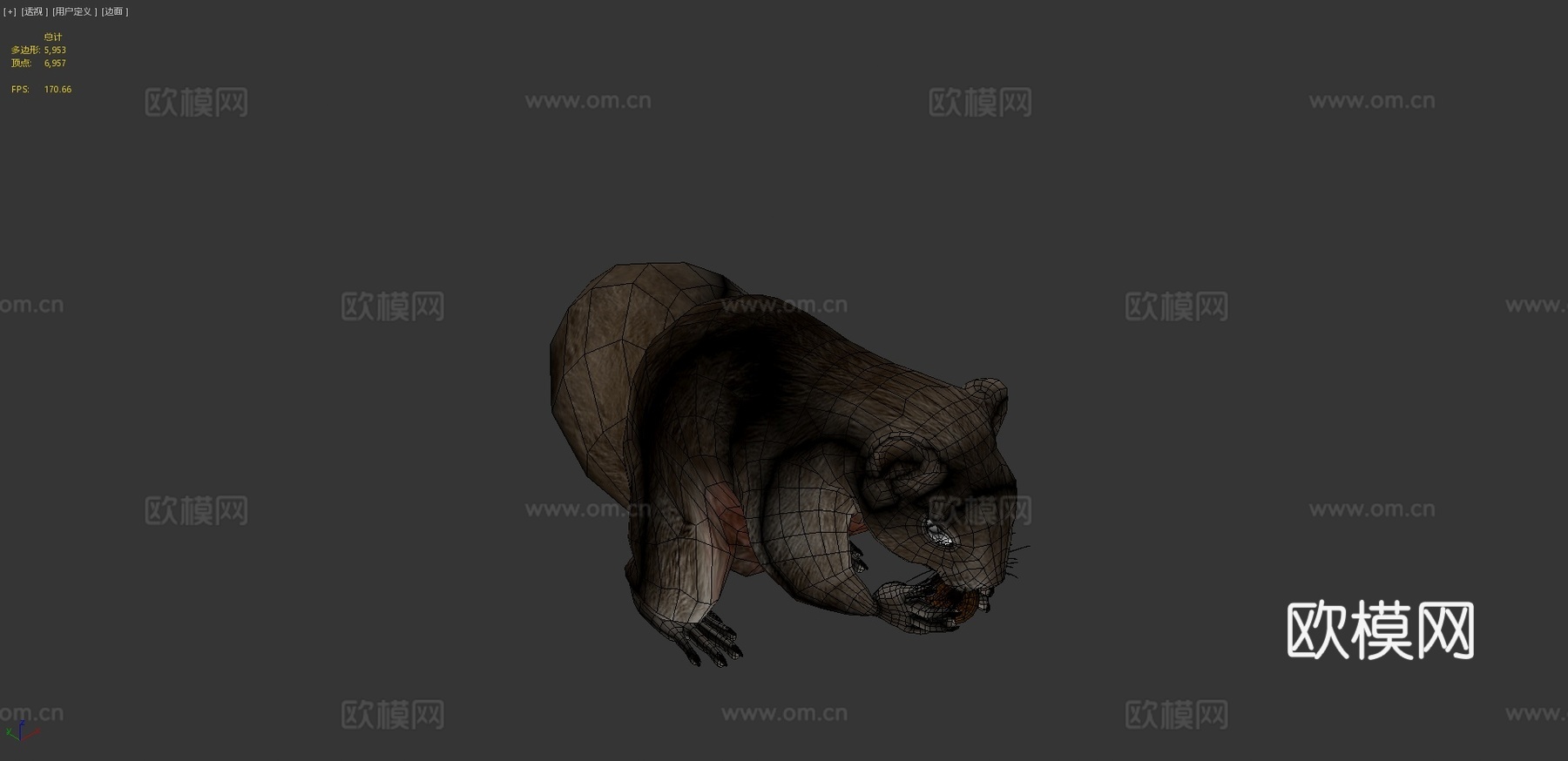 松鼠动画3d模型