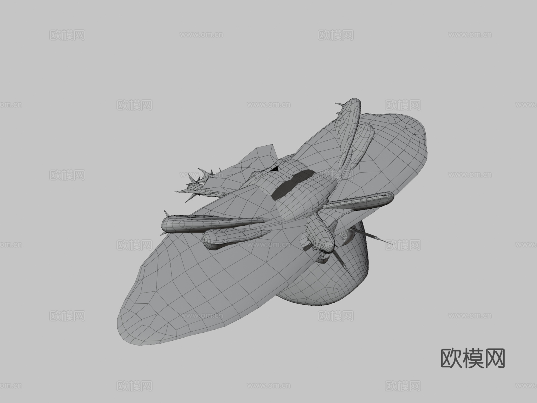 美洲蟑螂3d模型