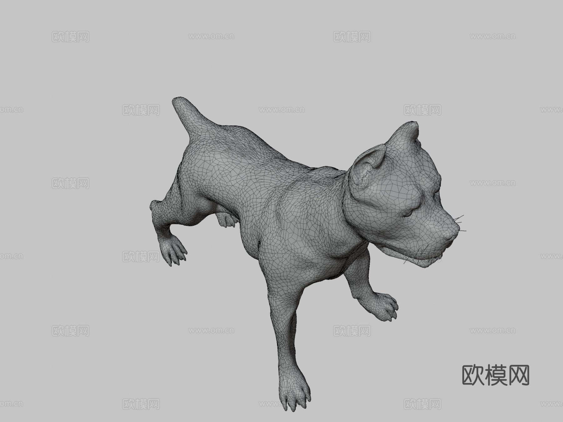 凯恩柯索V3版-几何优化3d模型