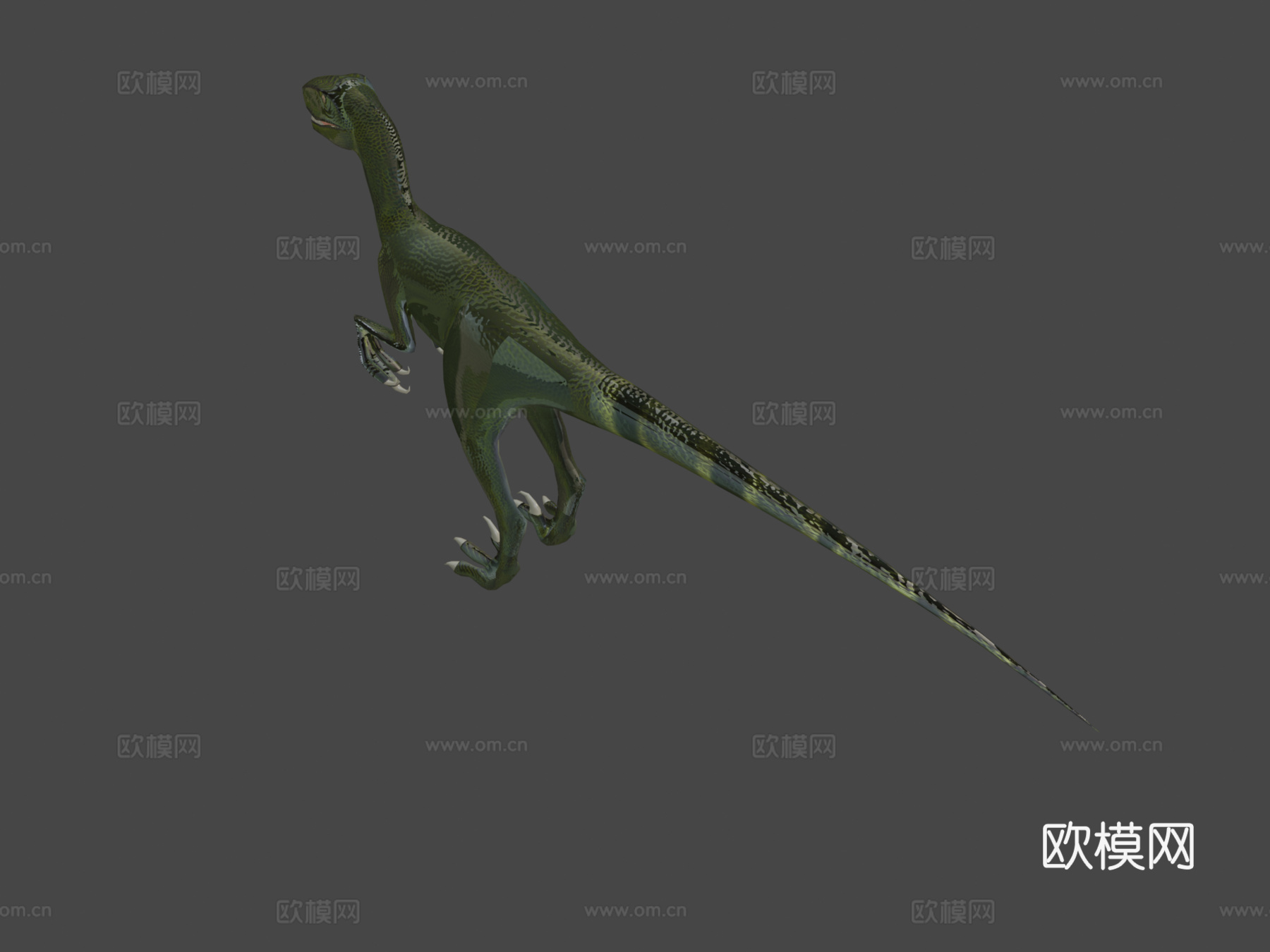 恐龙3d模型