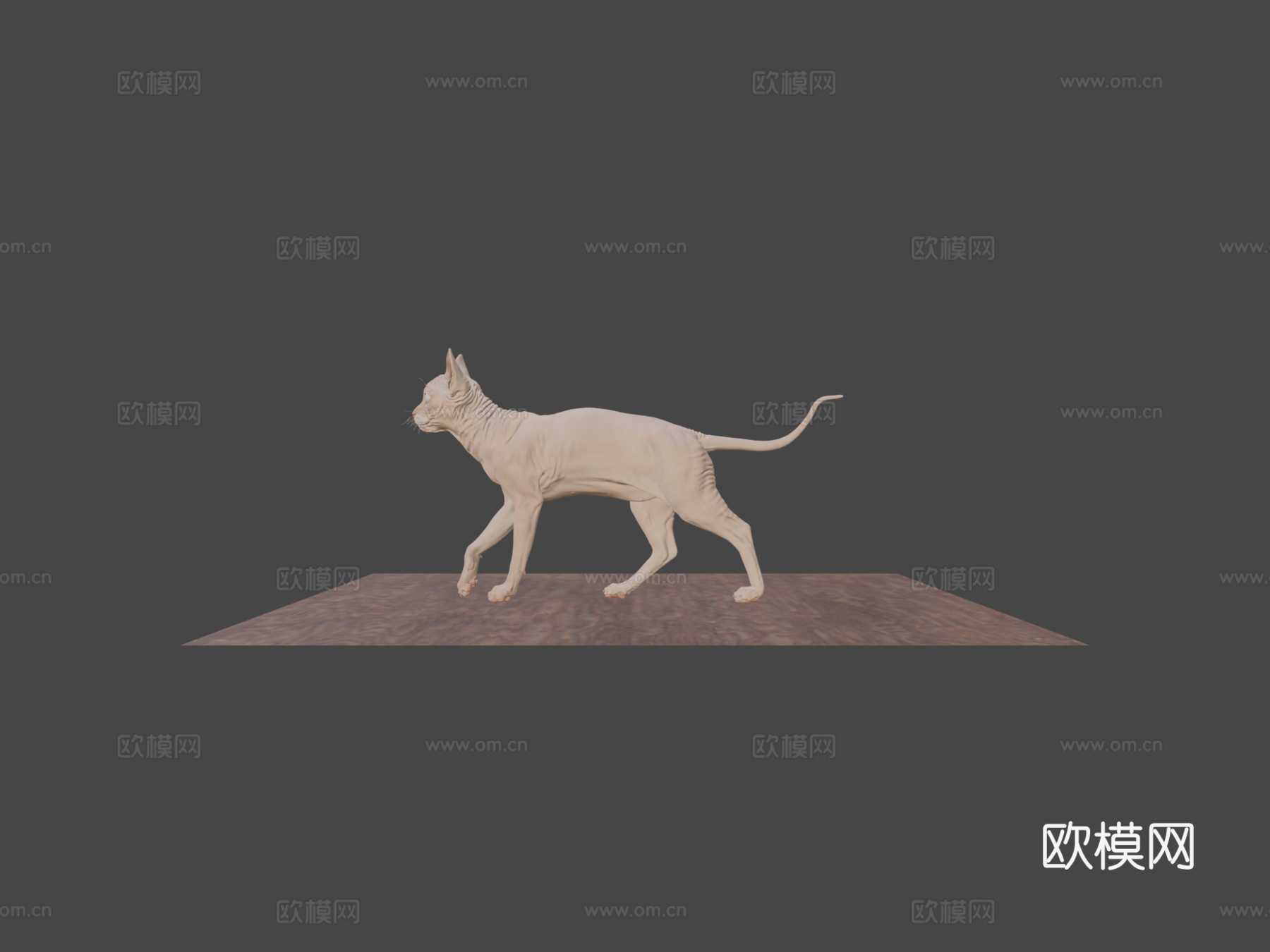斯芬克斯无毛猫3d模型