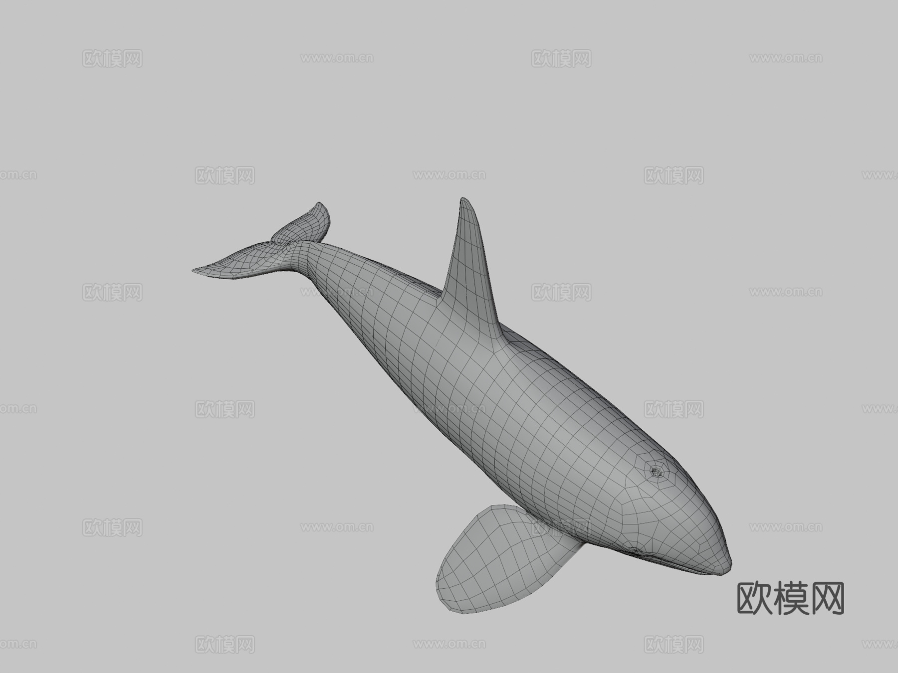 虎鲸(逆戟鲸)-杀人鲸3d模型