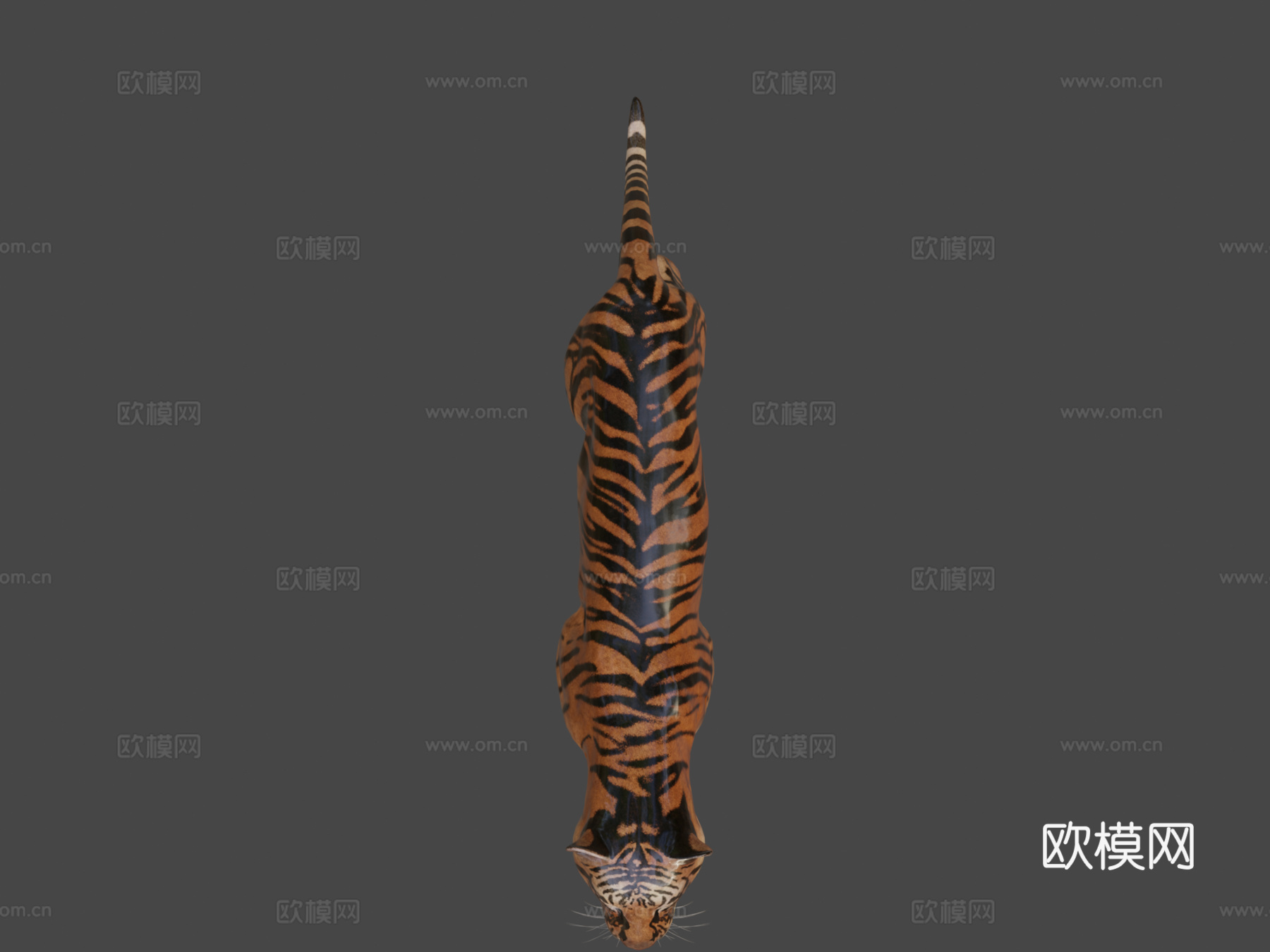 老虎3d模型