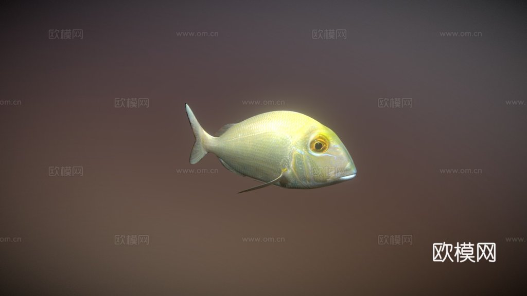 菖蒲菖蒲3d模型
