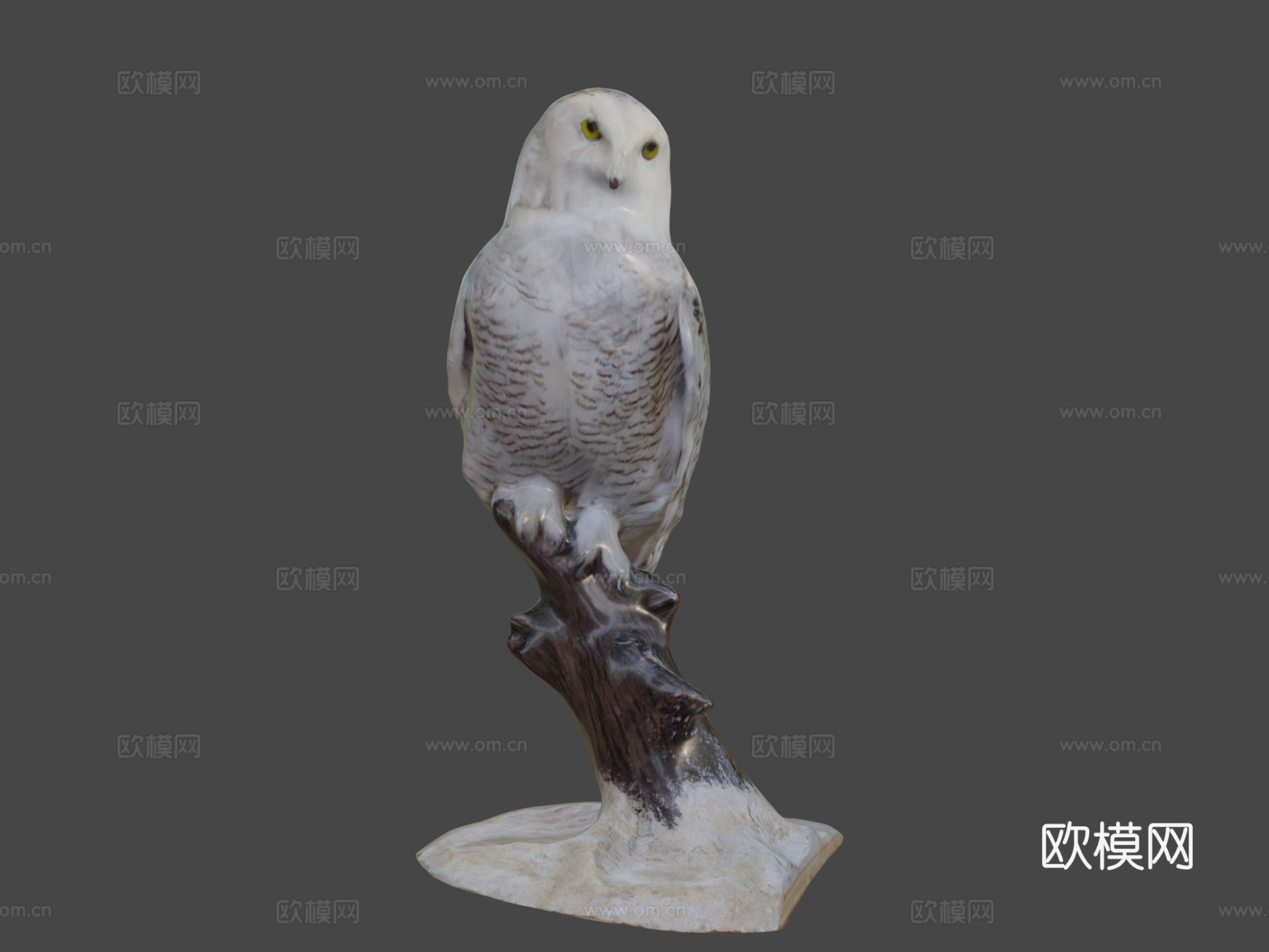 雪鸮3d模型