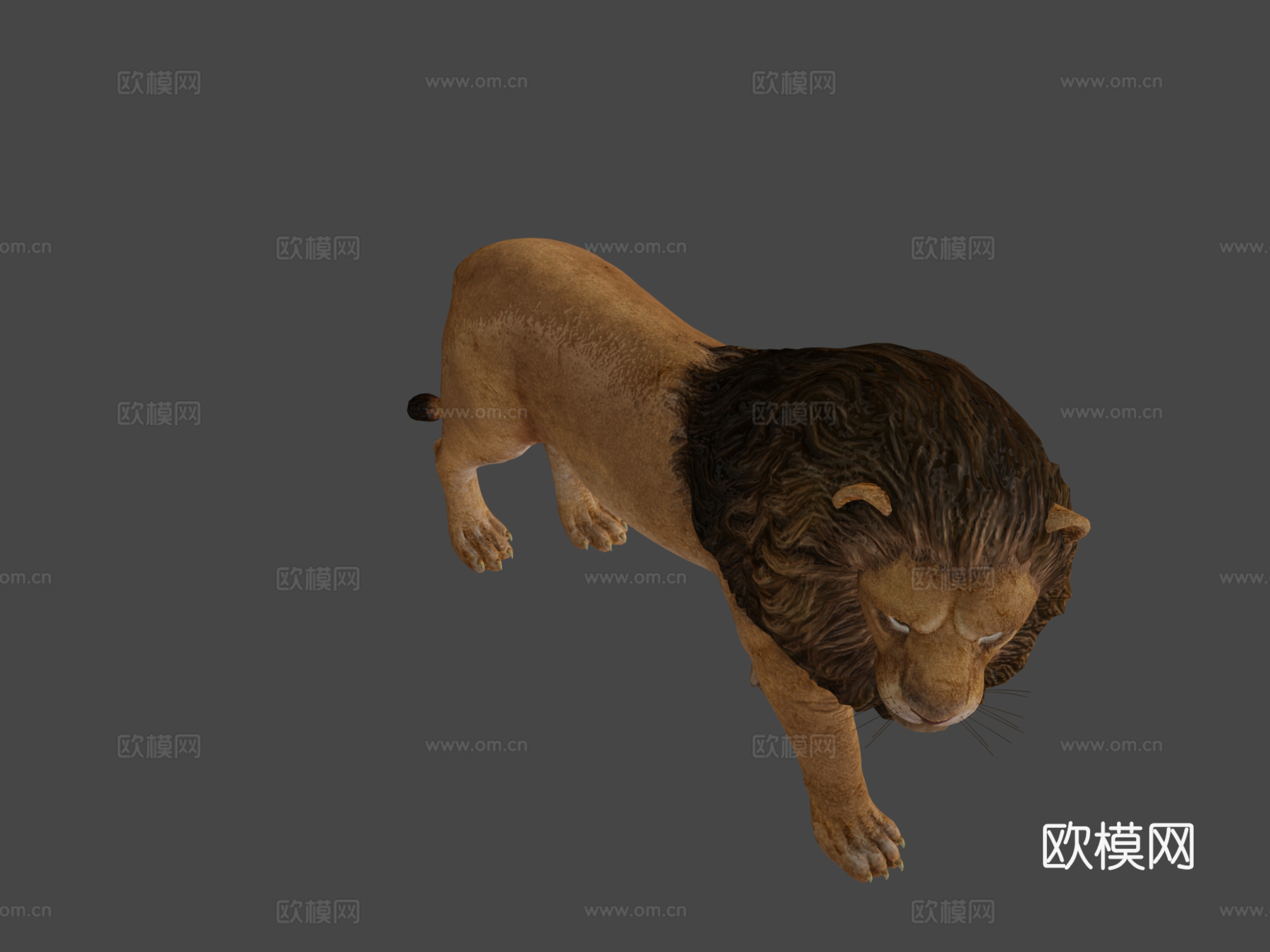 狮子3d模型