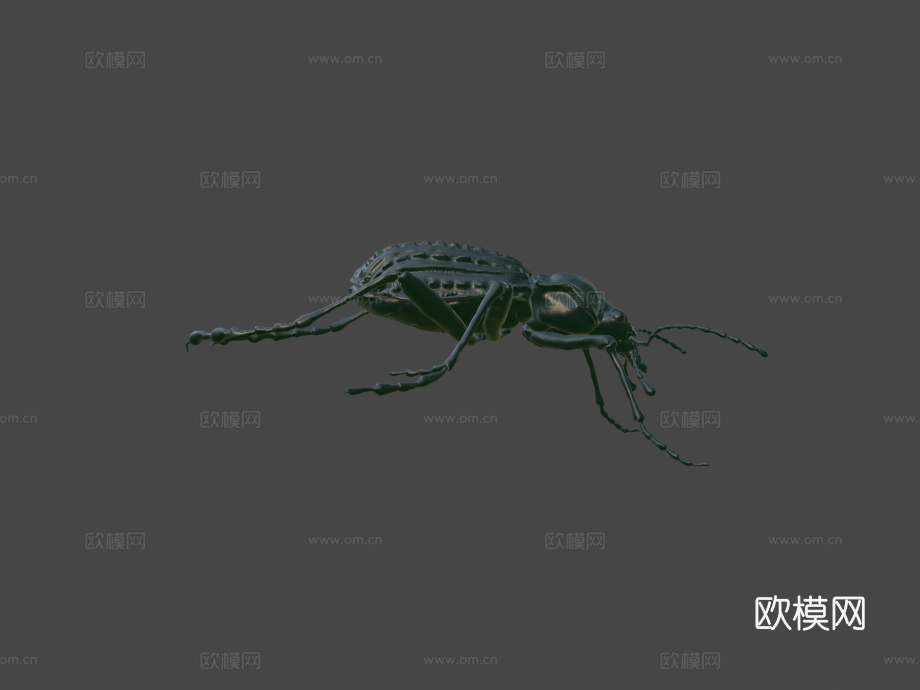 Futrinka(作者Zsofi Kezes)3d模型