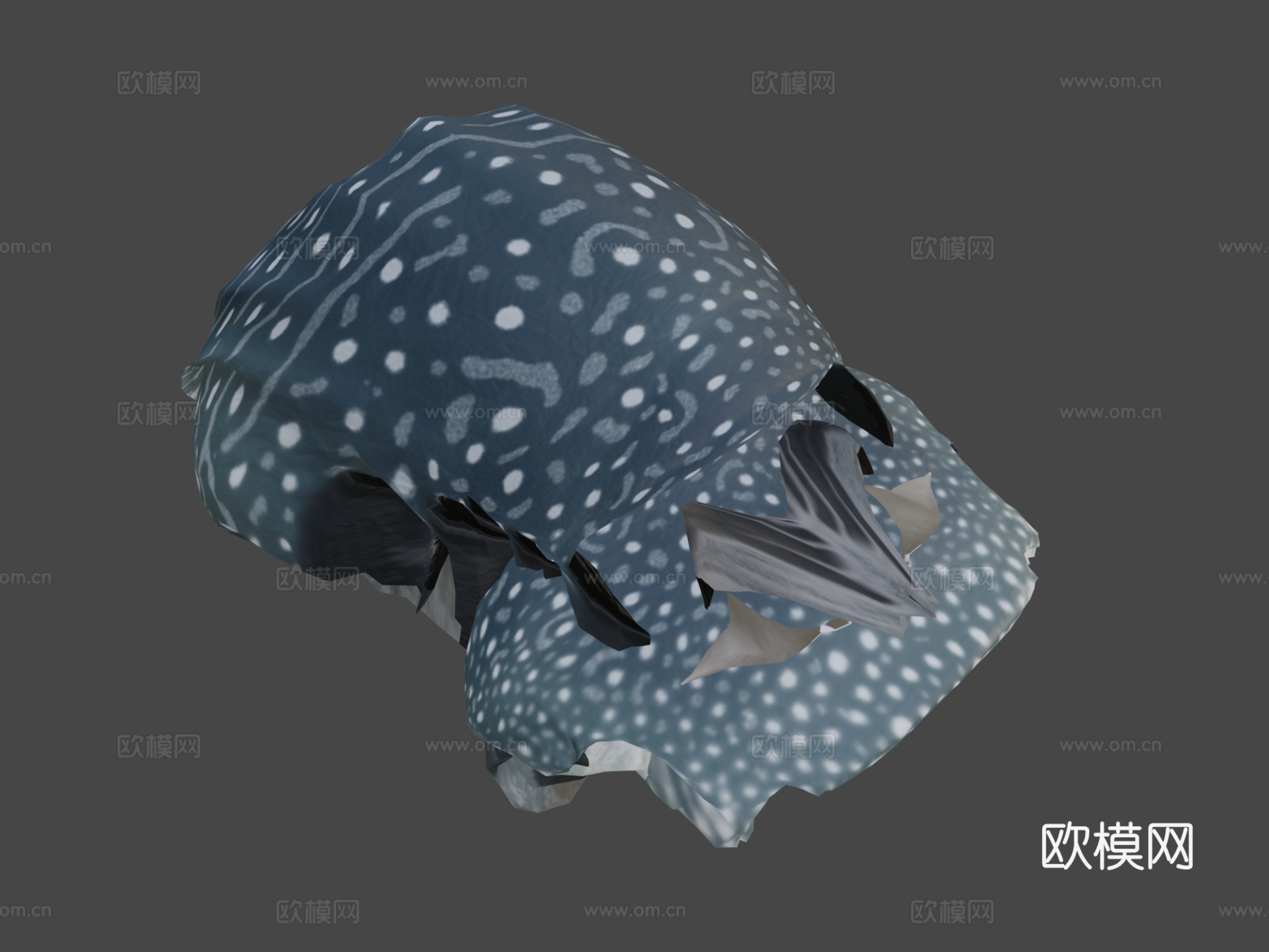鲸鲨♀3d模型