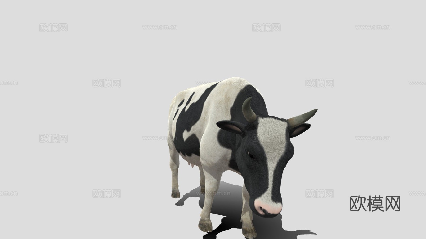 牛骨架测试3d模型