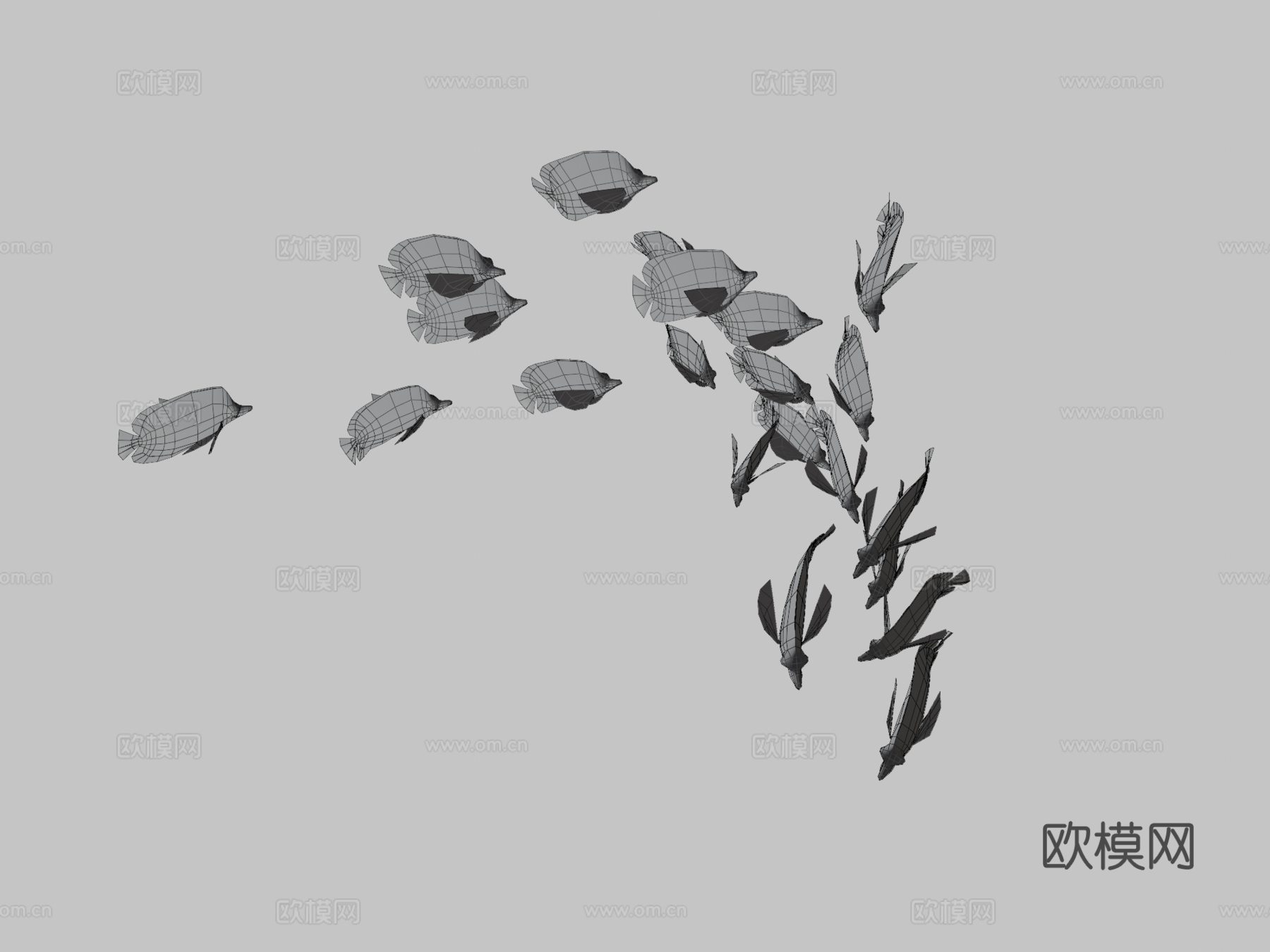 群游双鞍鱼3d模型