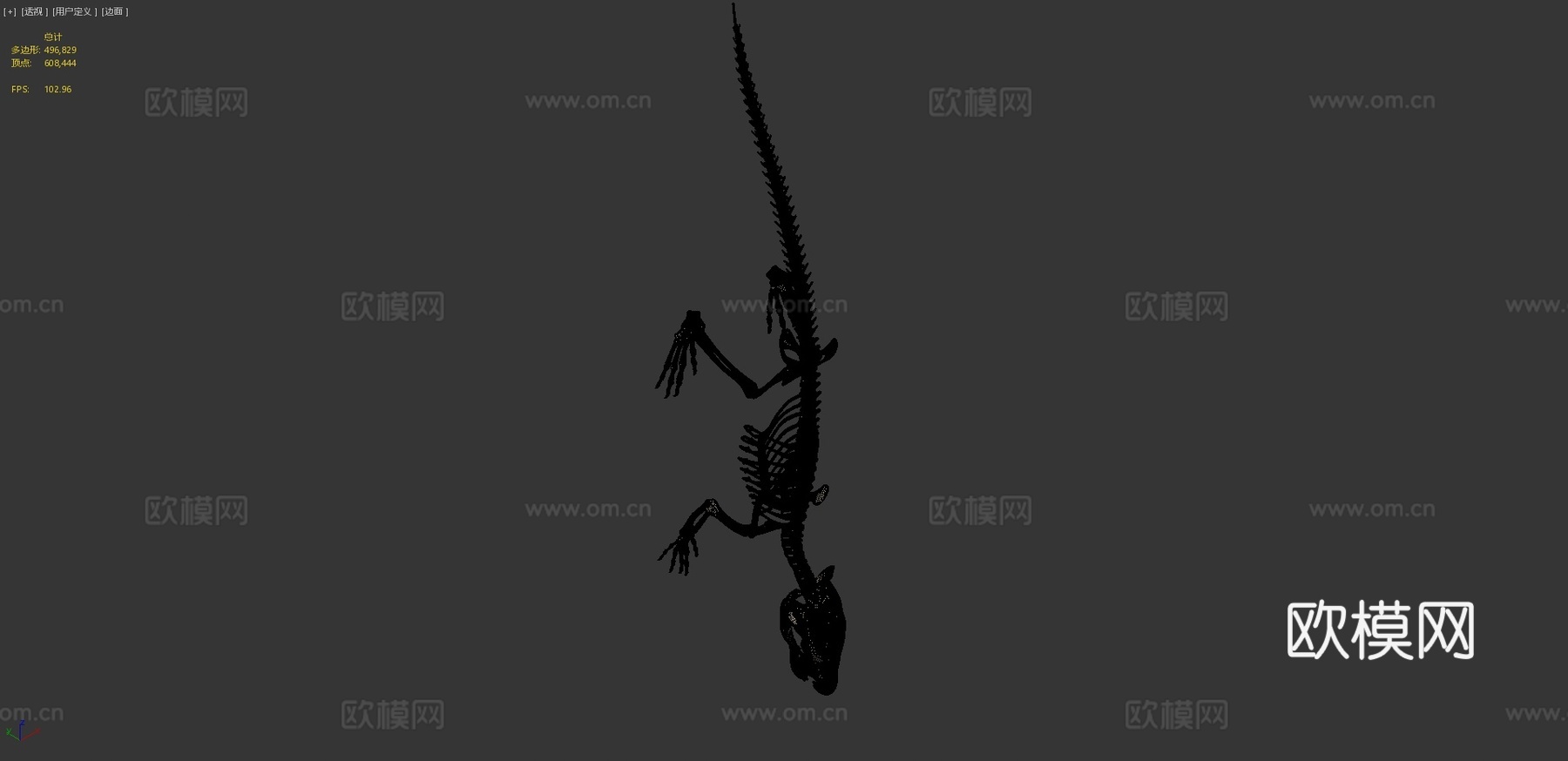 鳄鱼骨架3d模型