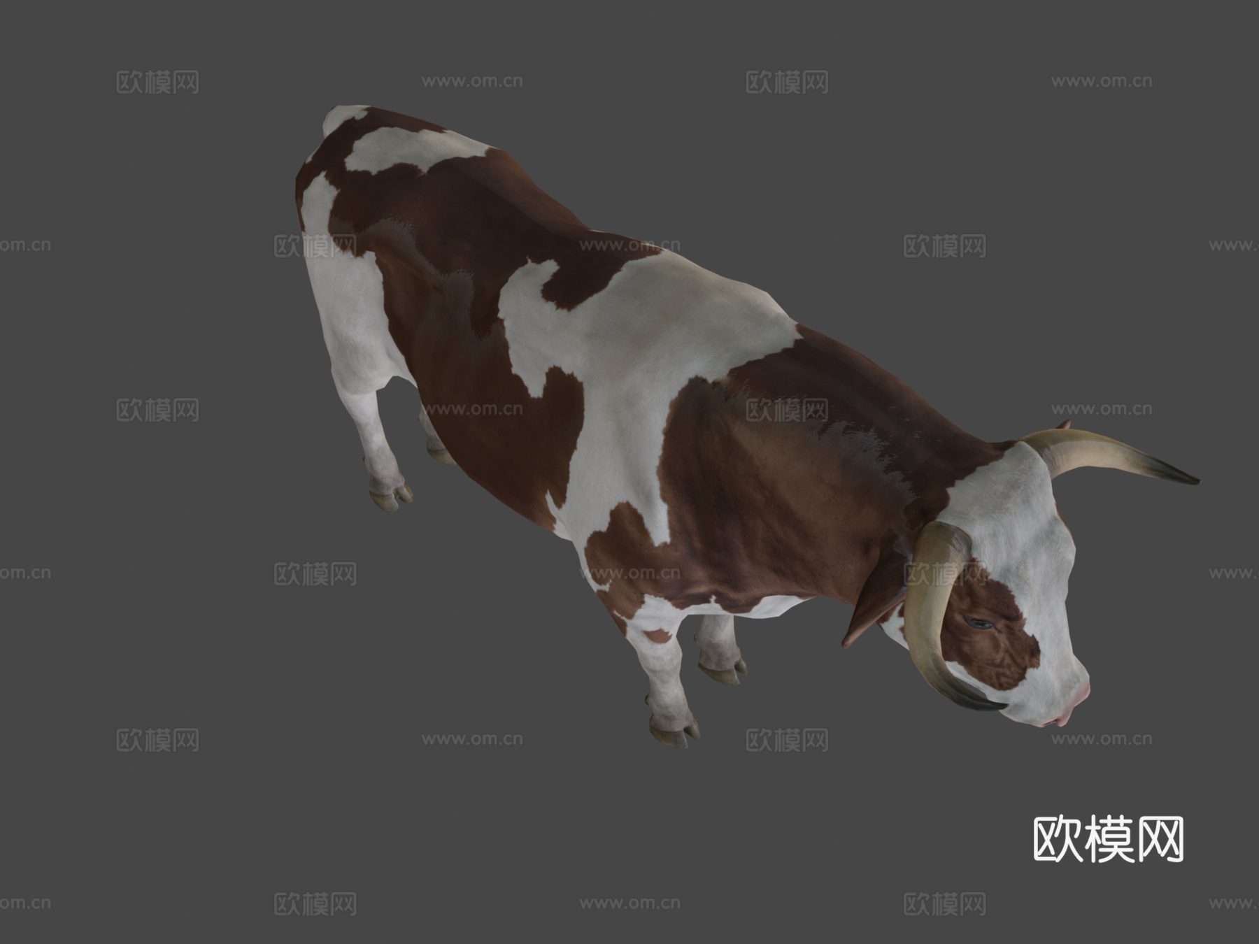 公牛动画3d模型