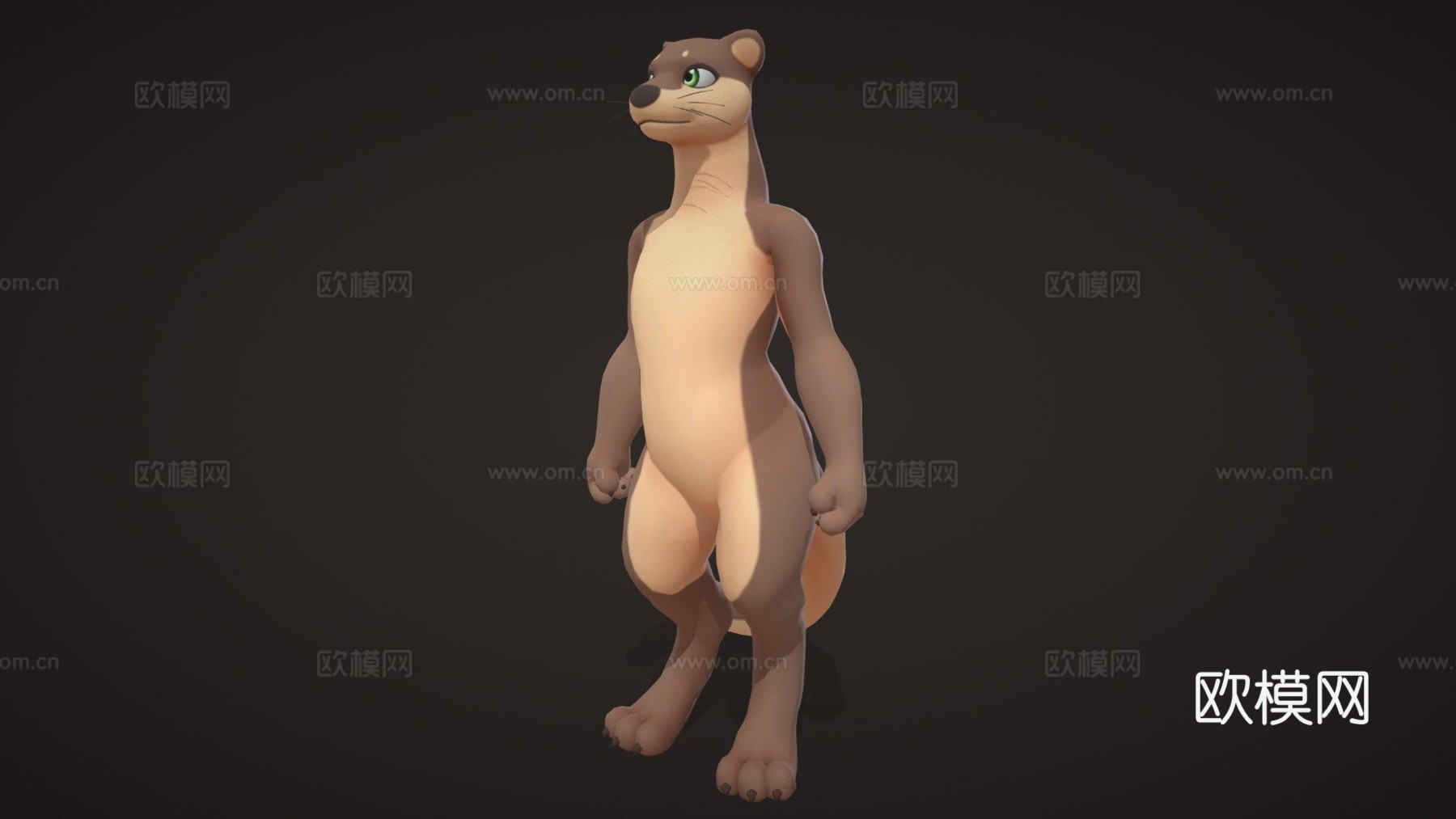 水獭塔里奥3d模型