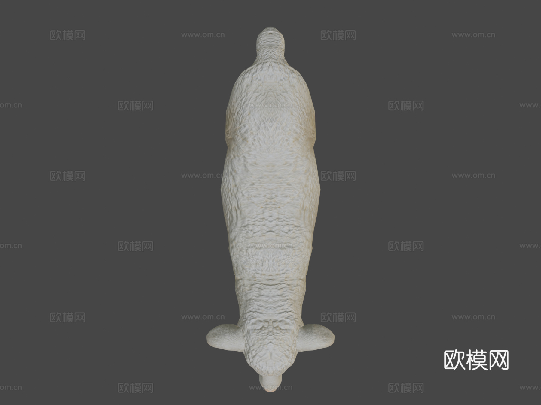 绵羊动画3d模型
