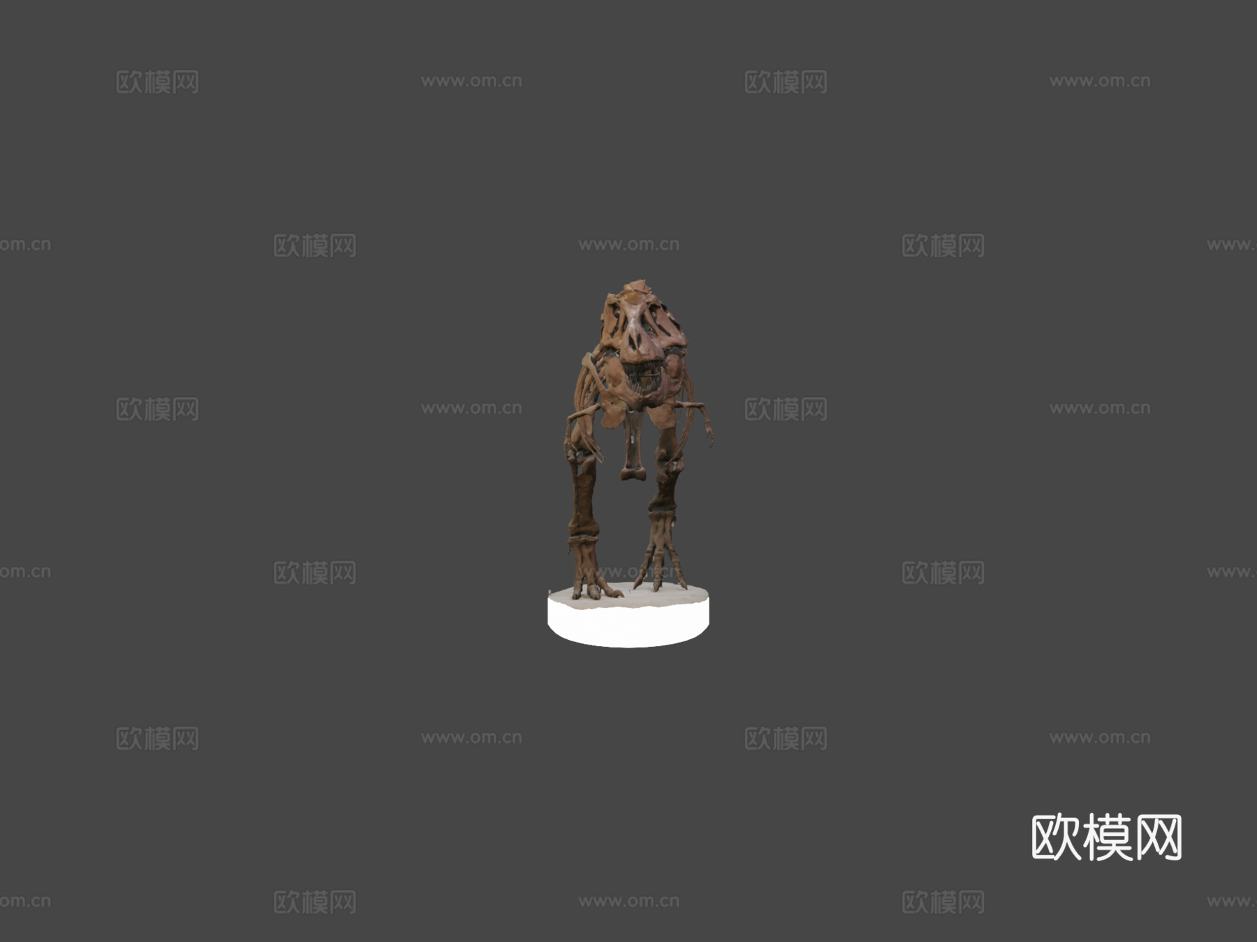 霸王龙美国自然历史博物馆快速扫描3d模型