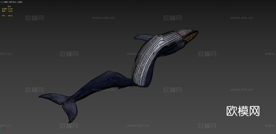 蓝鲸3d模型下载(渲染图4)