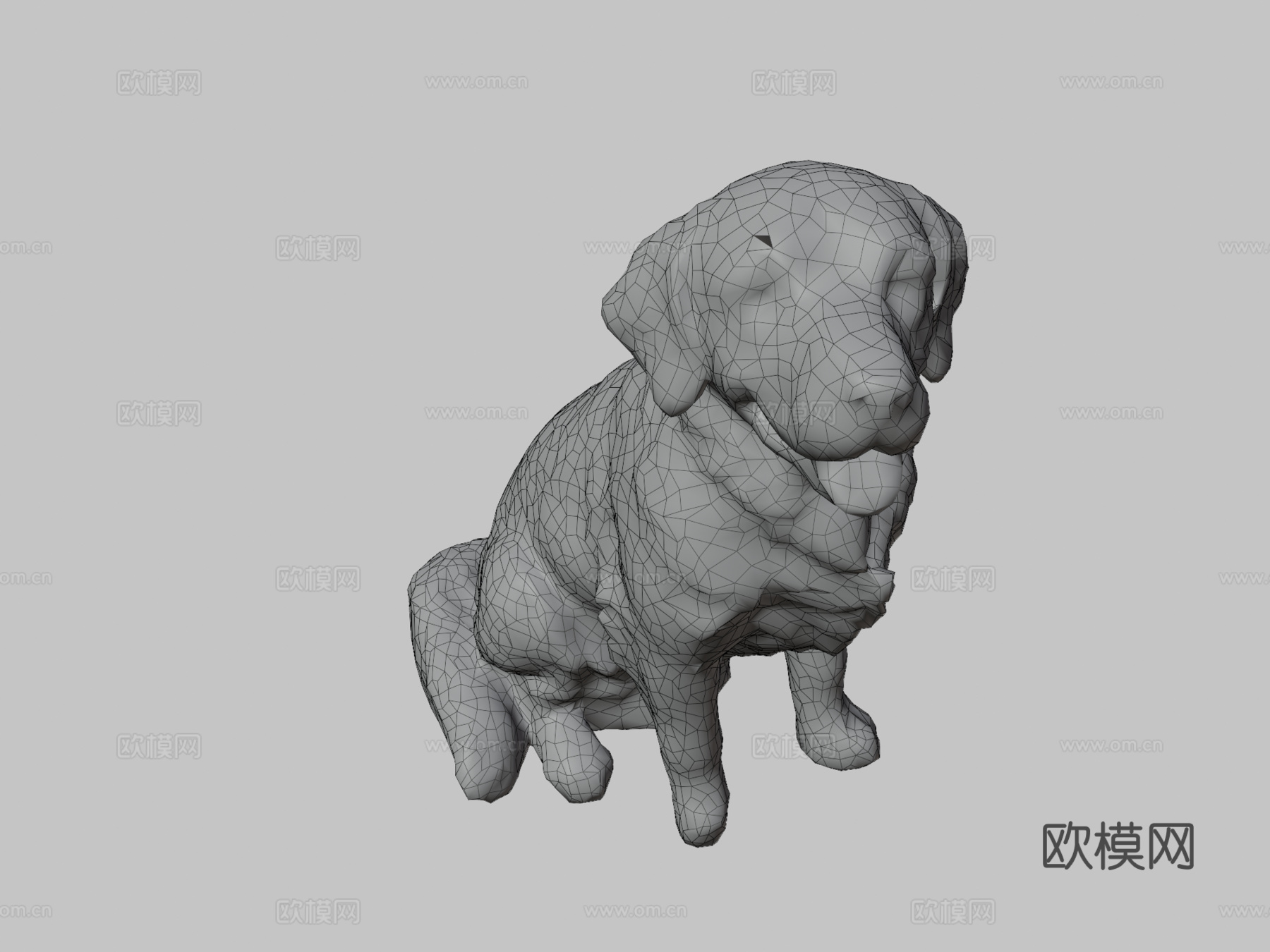 金毛寻回犬3d模型