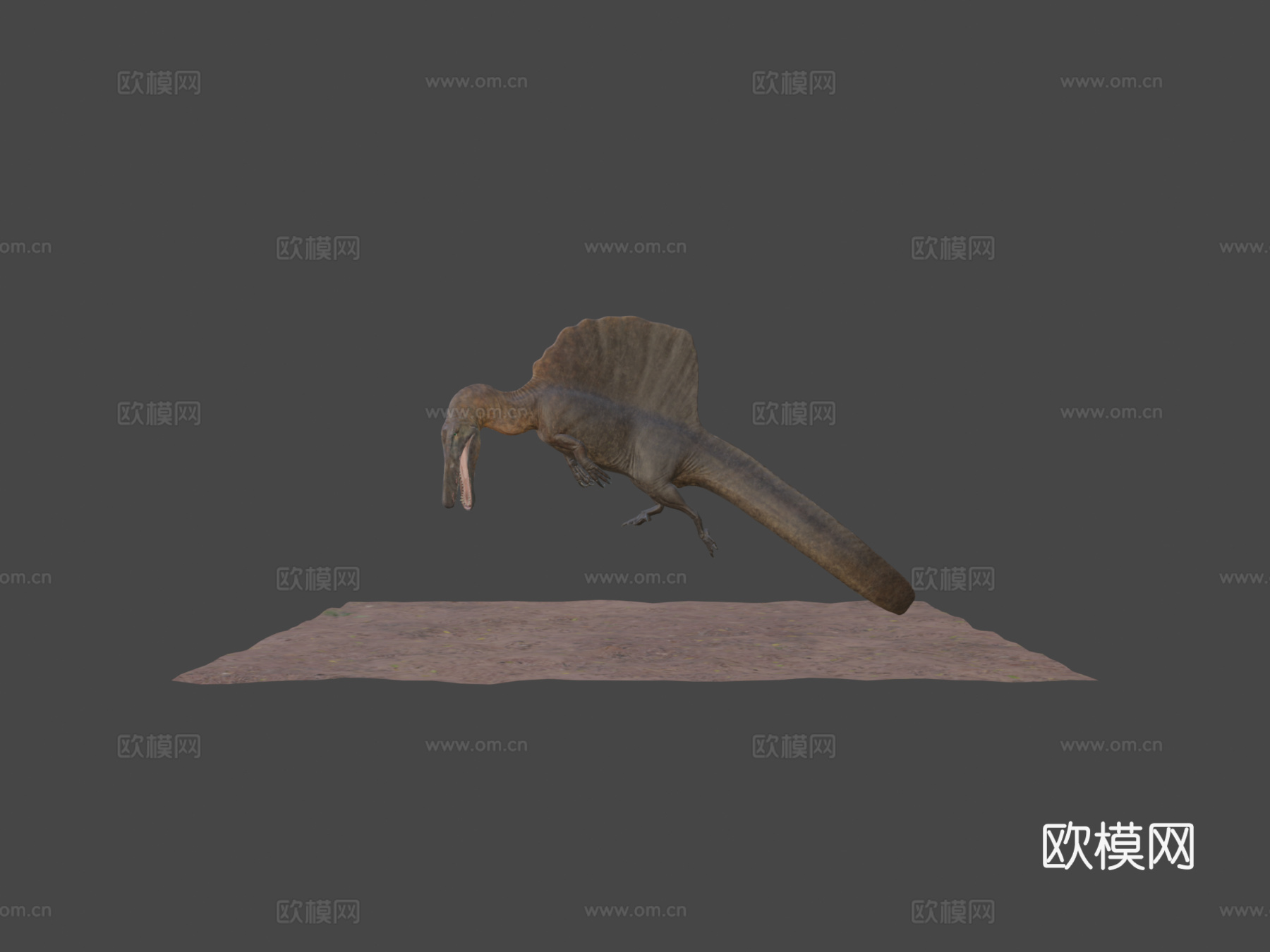 游泳棘龙3d模型