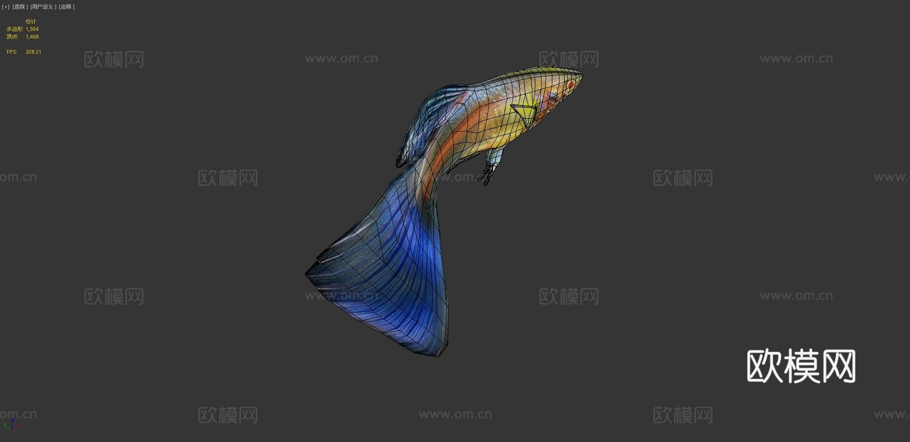 孔雀鱼动画3d模型