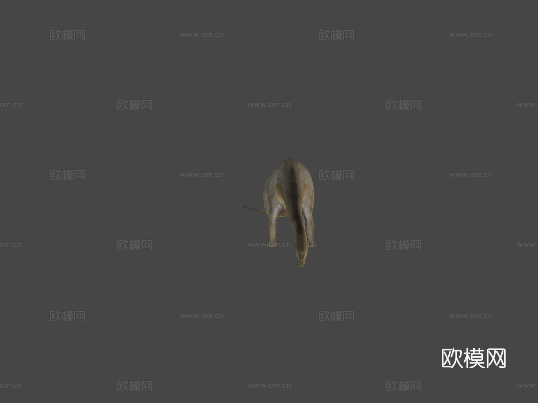 马门溪龙3d模型