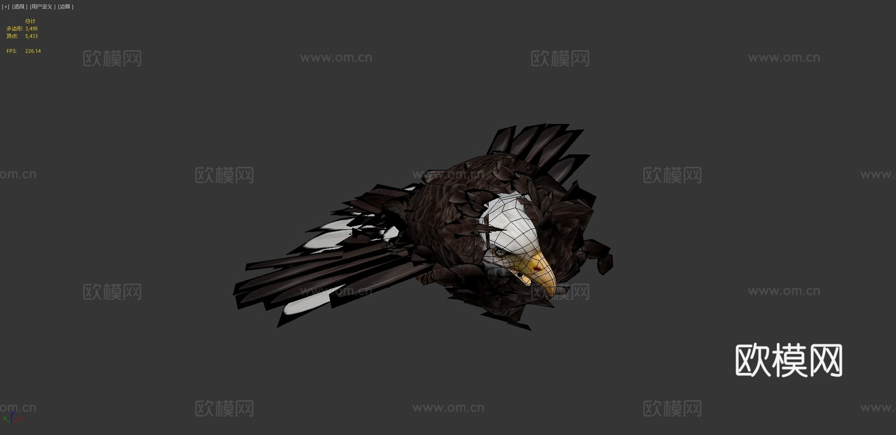 动物界-白头海雕与金雕3d模型