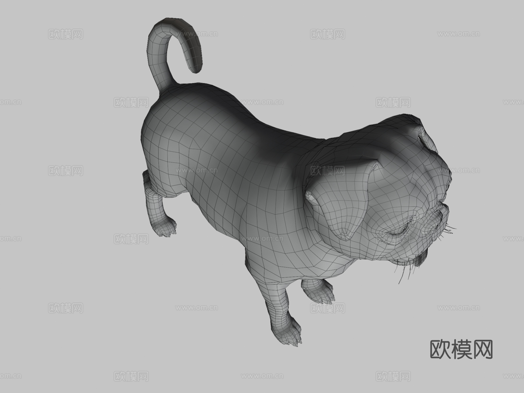 狗-哈巴狗3d模型