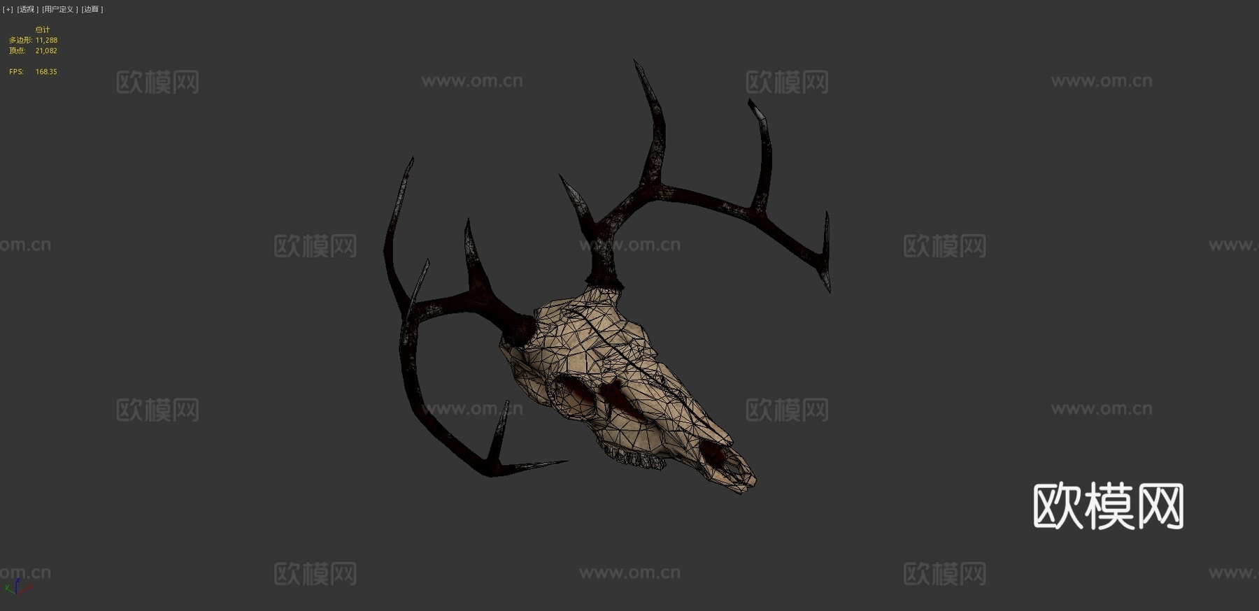 鹿头骨3d模型