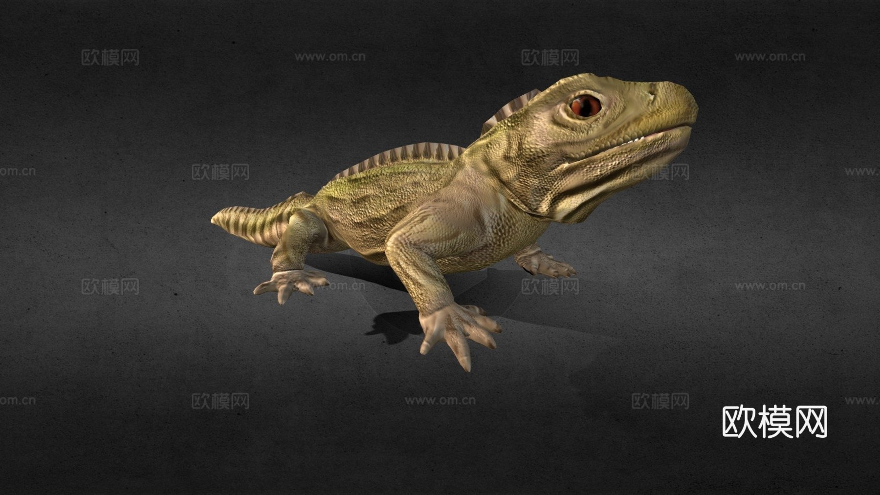蜥蜴3d模型