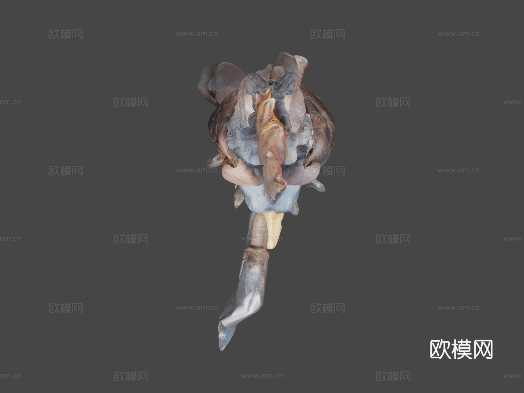 传奇鸡战士3d模型