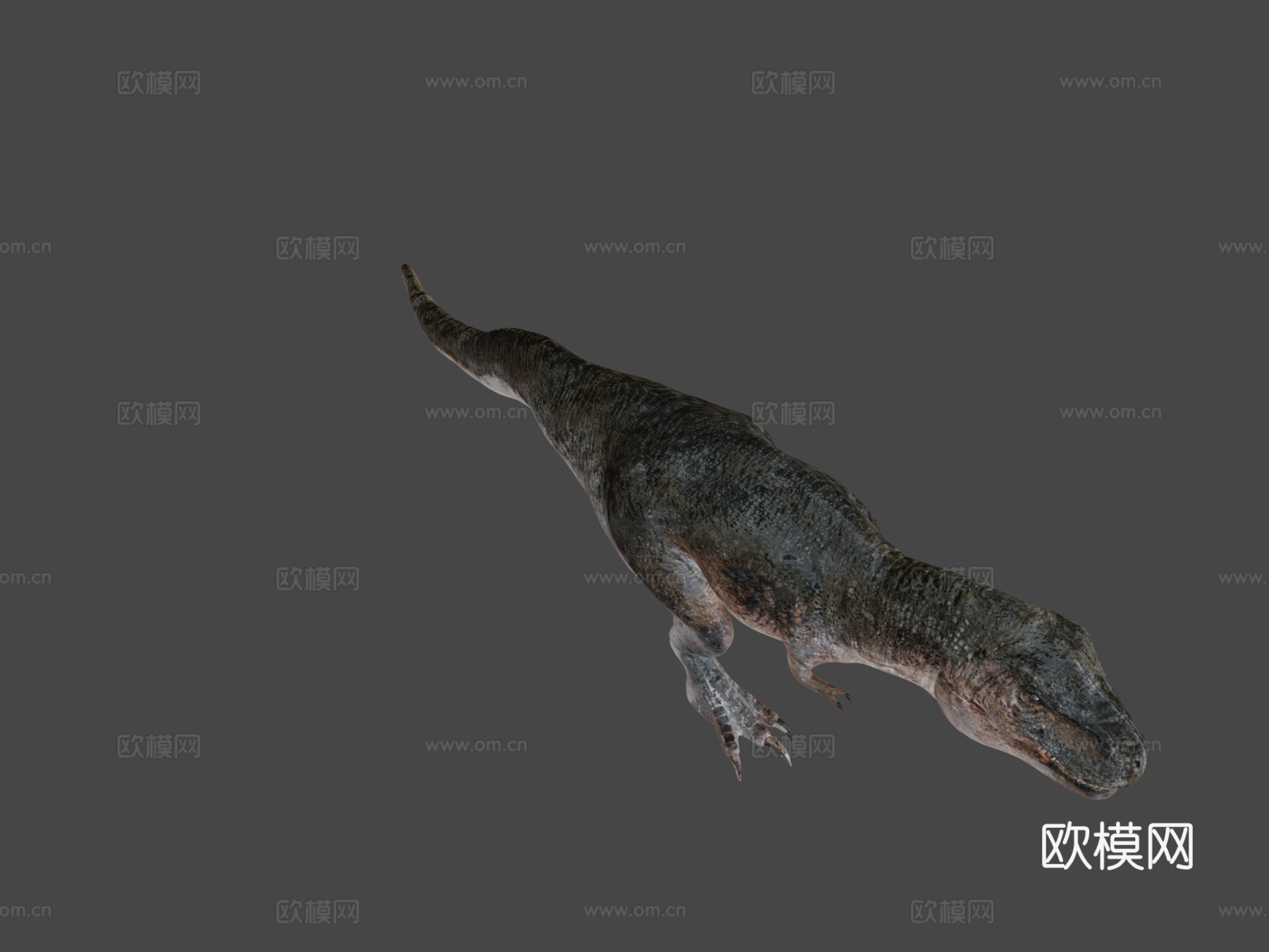 可动霸王龙骨架3d模型