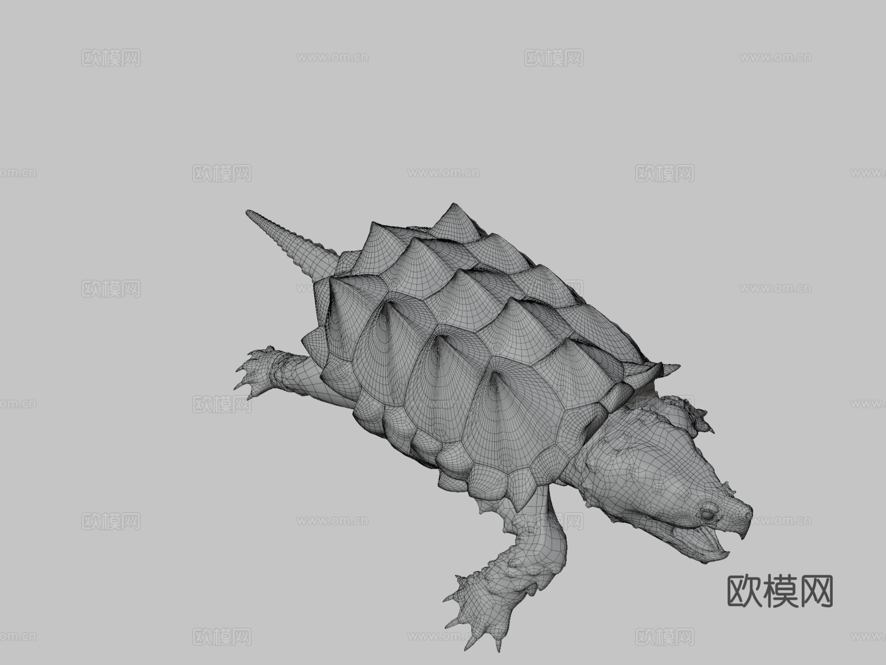 鳄龟3d模型