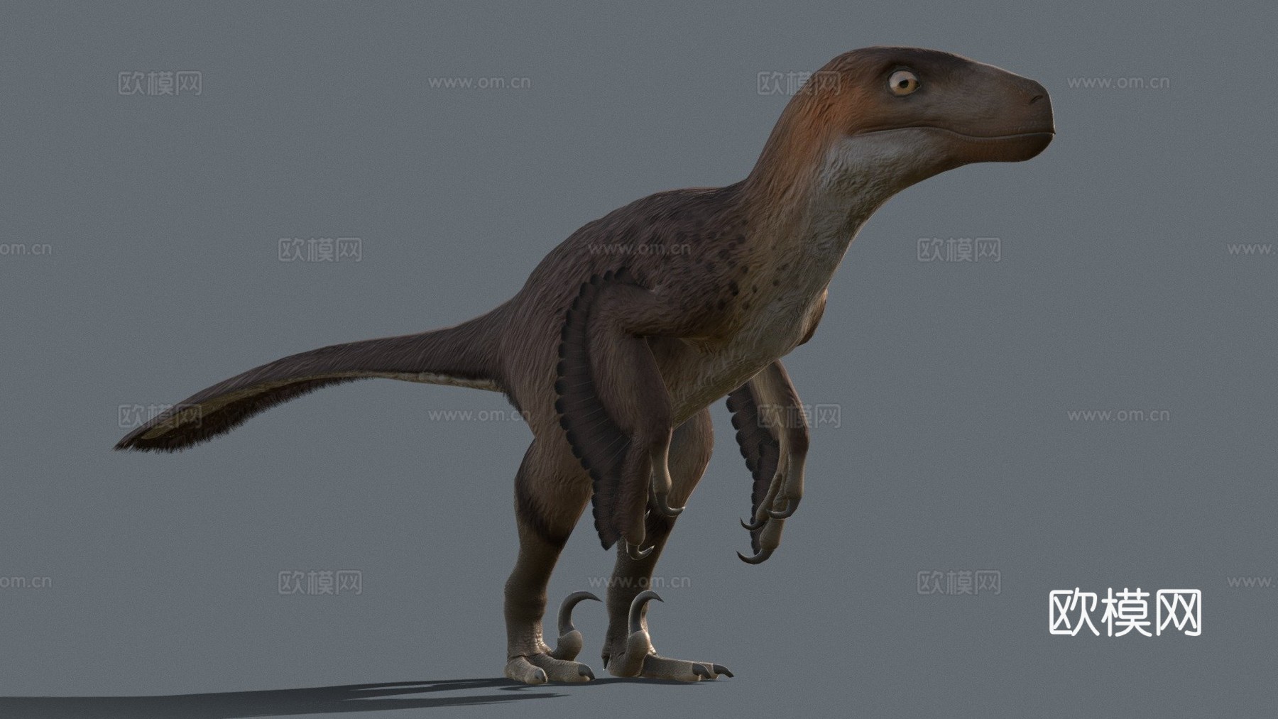 犹他盗龙-低多边形动画模型3d模型