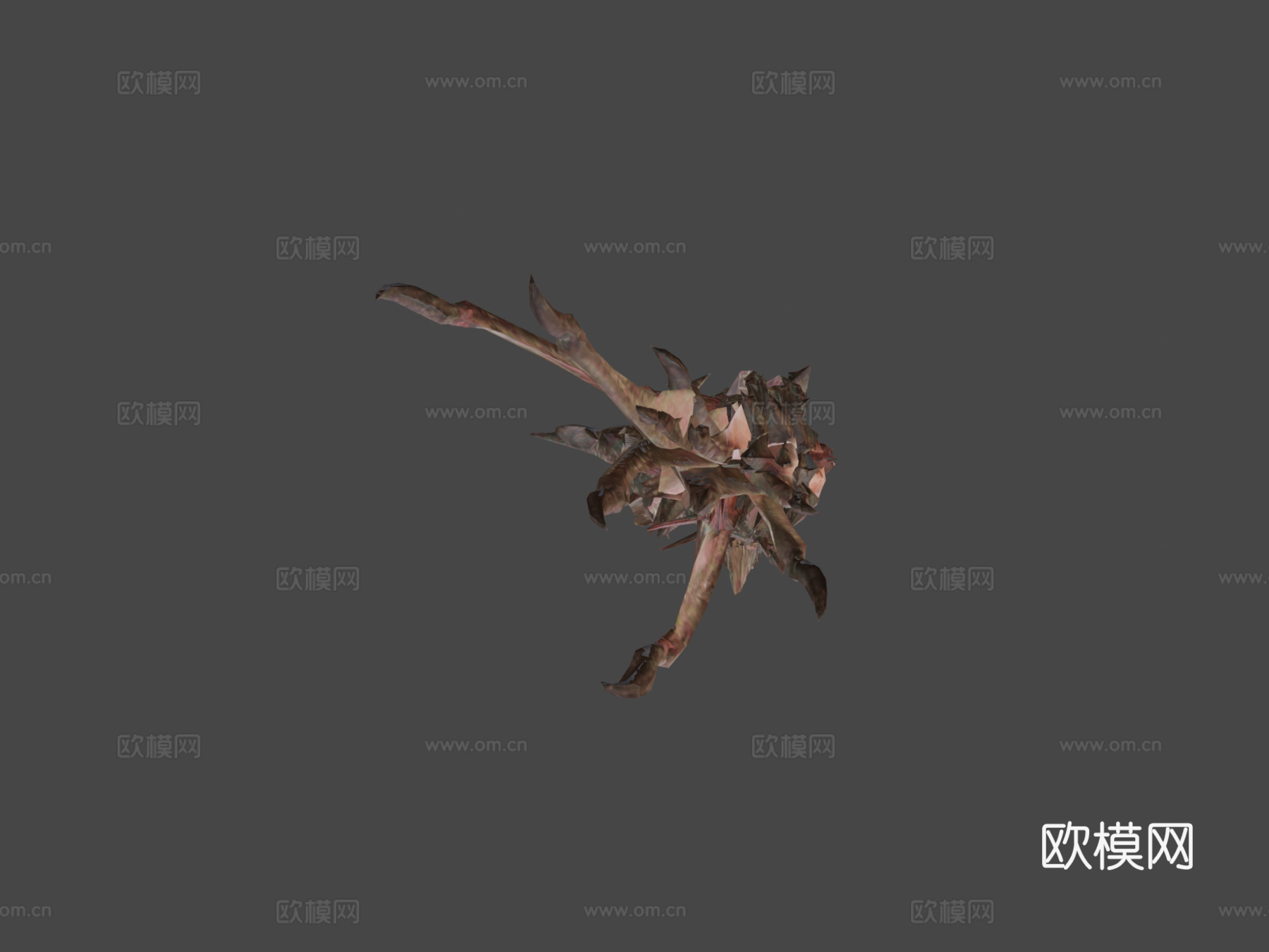 双足飞龙动画(青雉)_13d模型