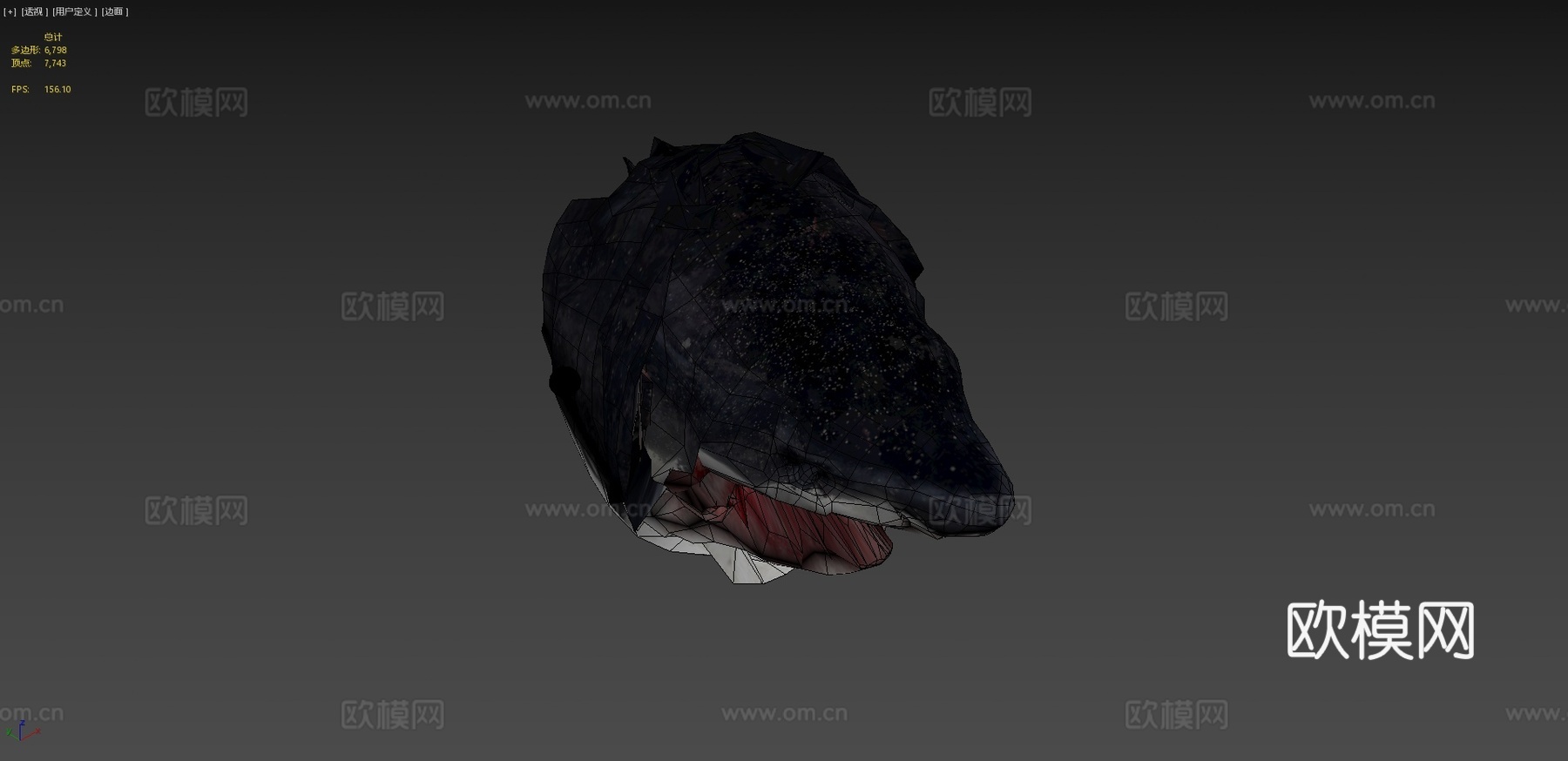 白鲨3d模型