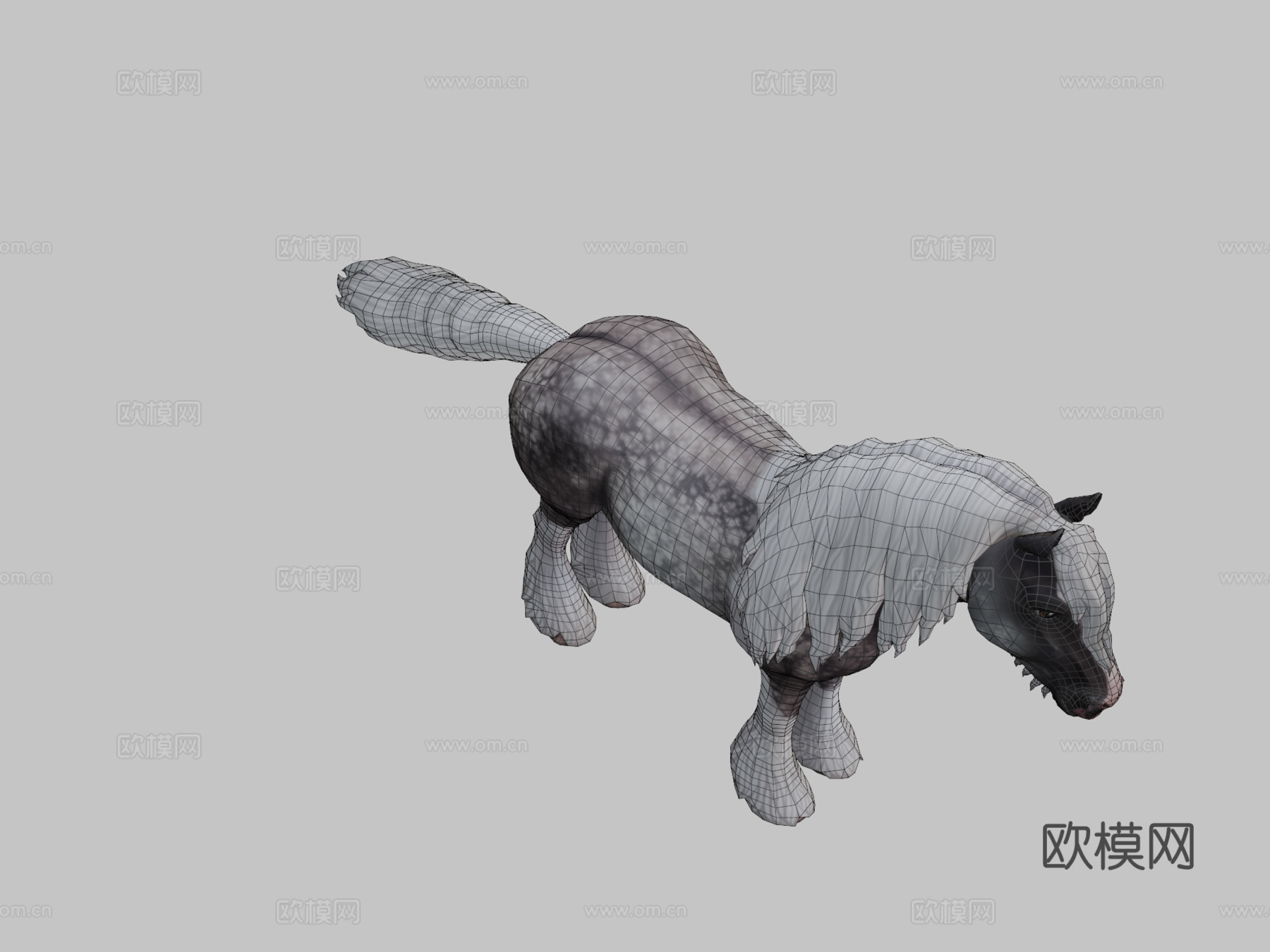 星之稳定中的修补马3d模型
