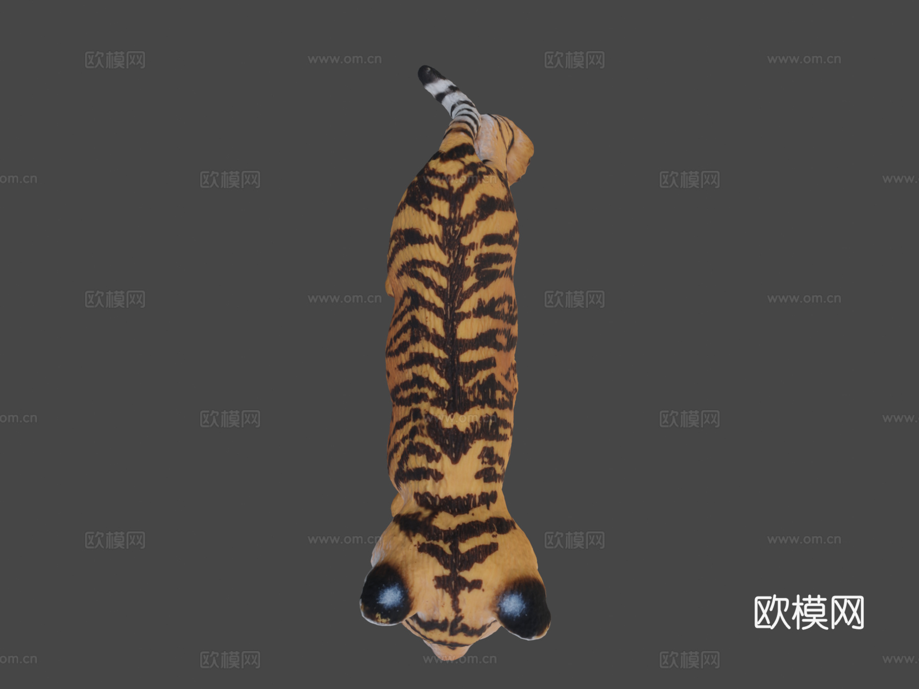 迷你虎崽3d模型