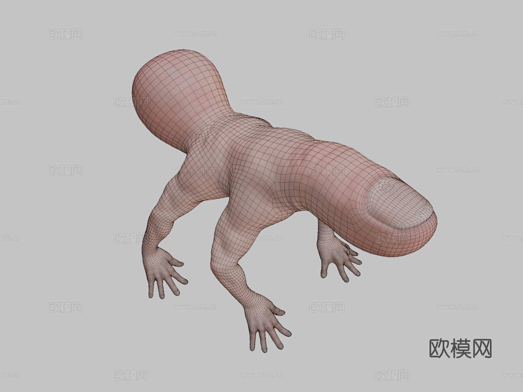 手指蜘蛛[仅模型]3d模型