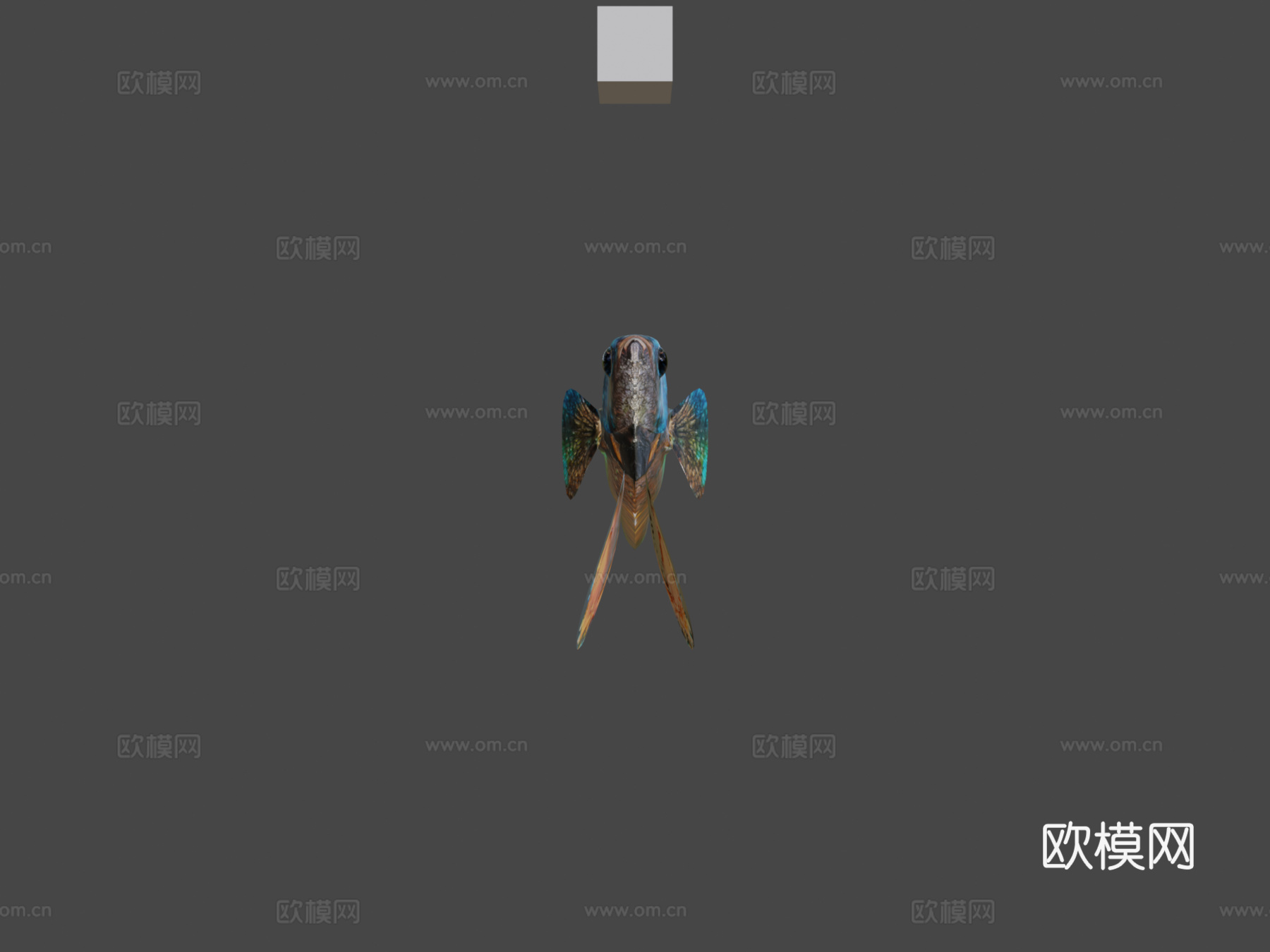 斗鱼3d模型