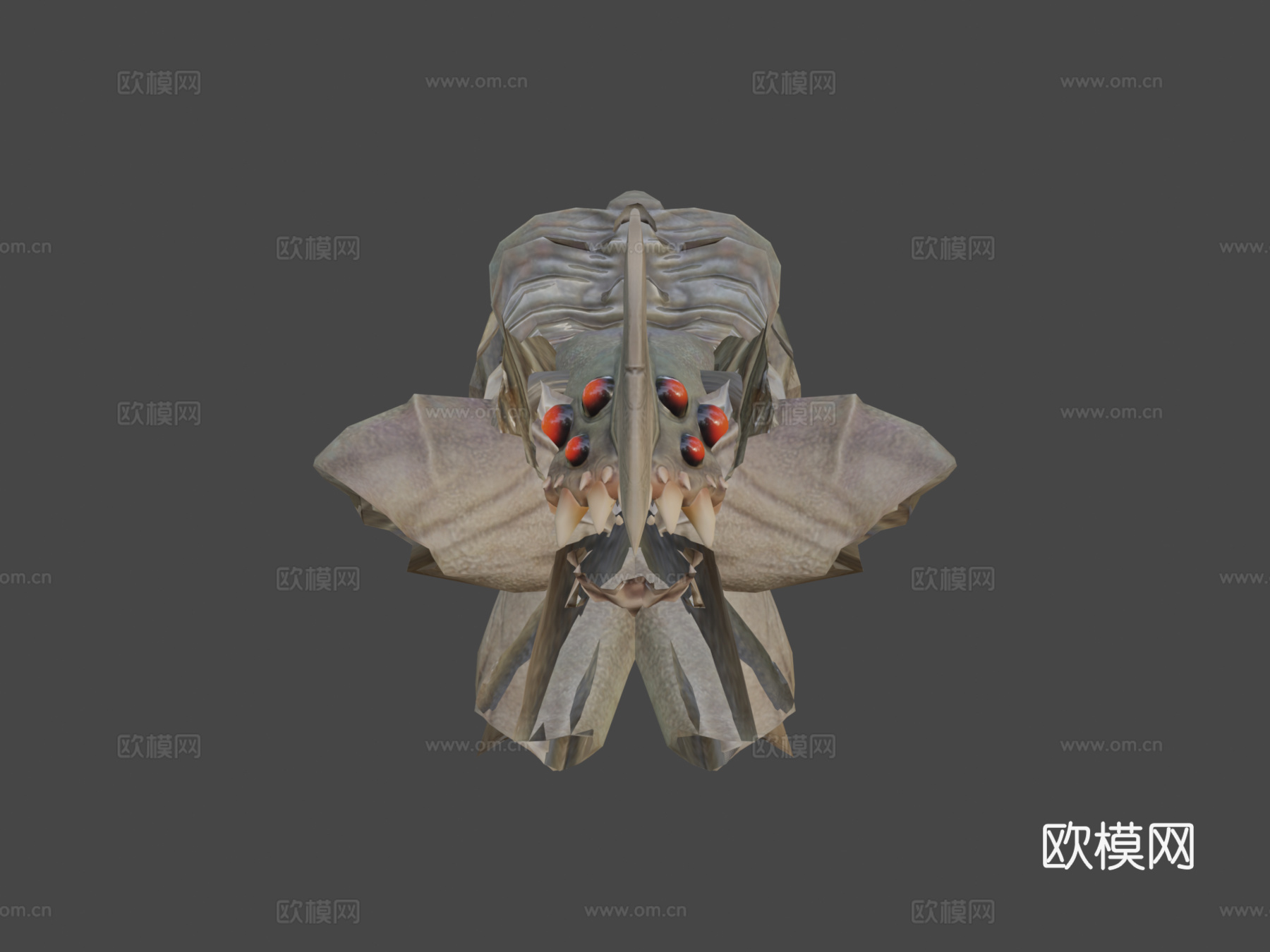 角喙龙动画3d模型