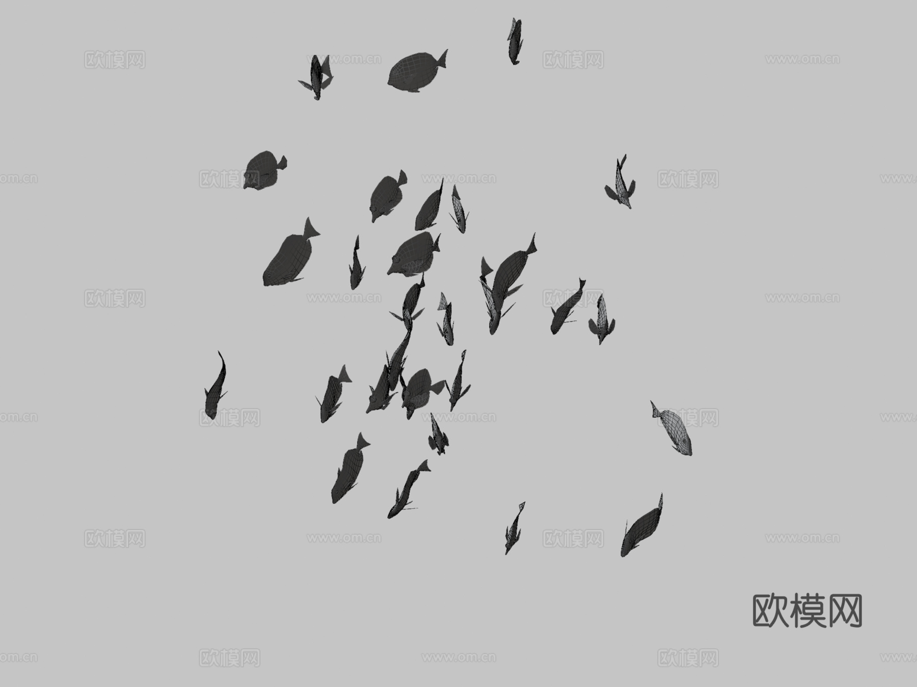 群游鱼蓝黄刺尾鱼3d模型