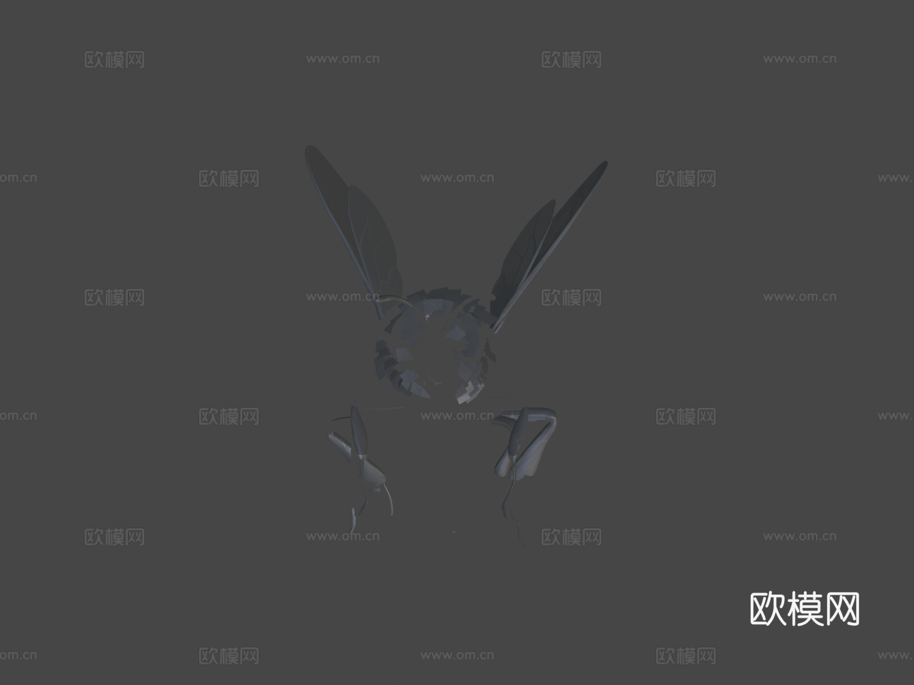 蜜蜂3d模型