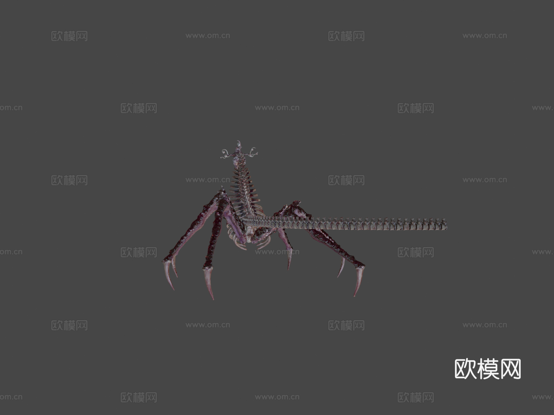 虚空生物3d模型